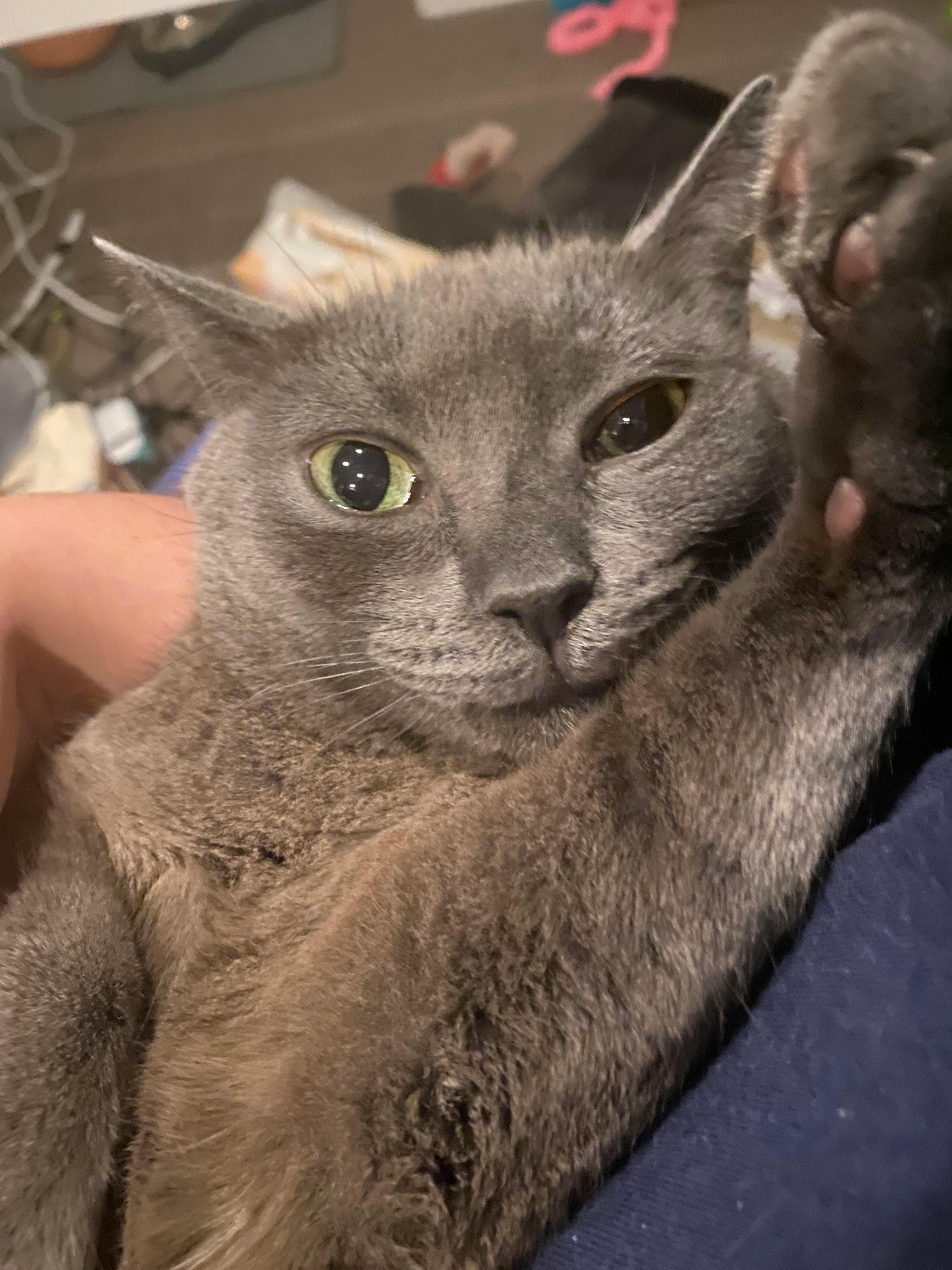 user avatar image for Sootsprouts