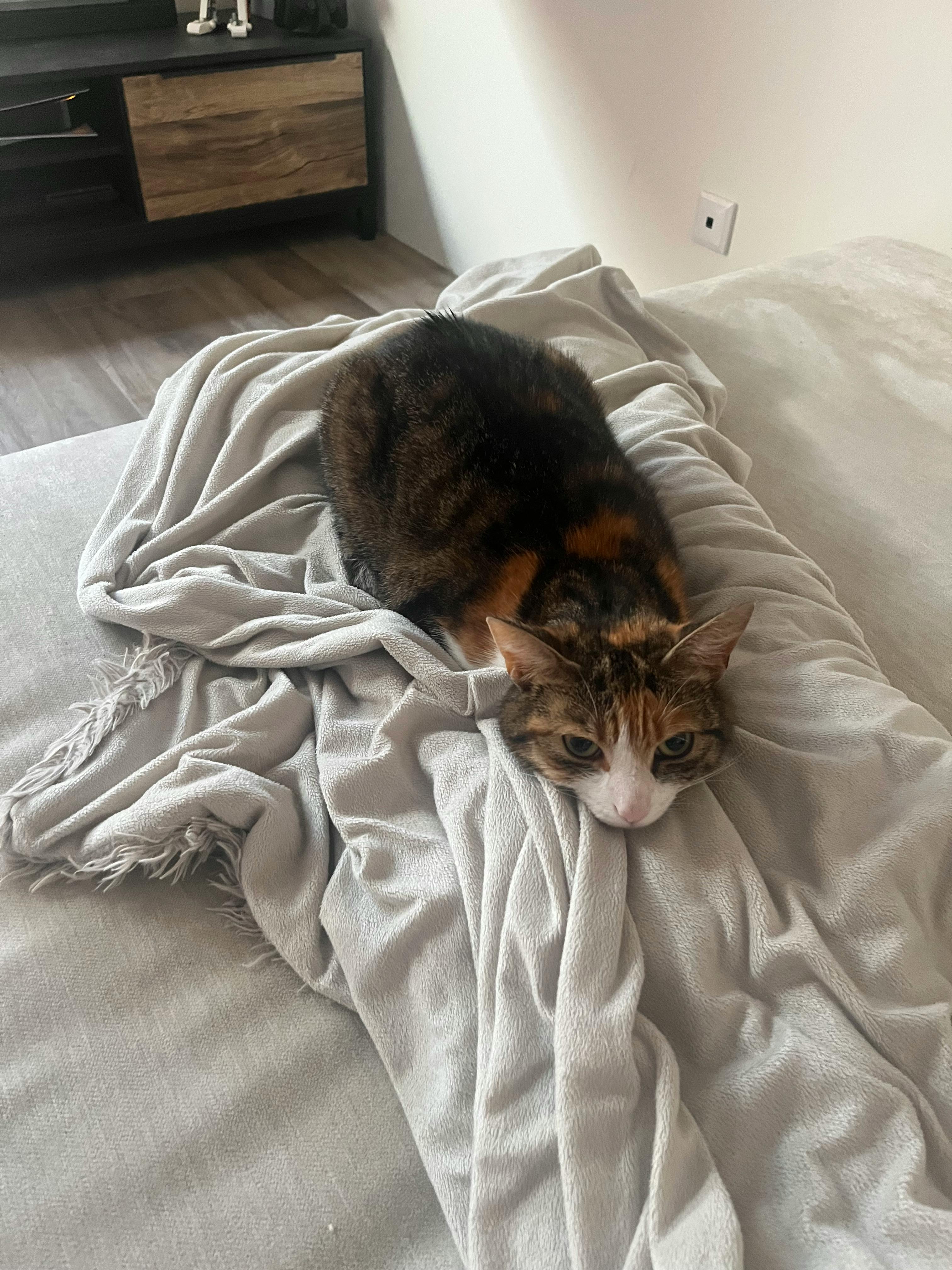 user avatar image for Iris