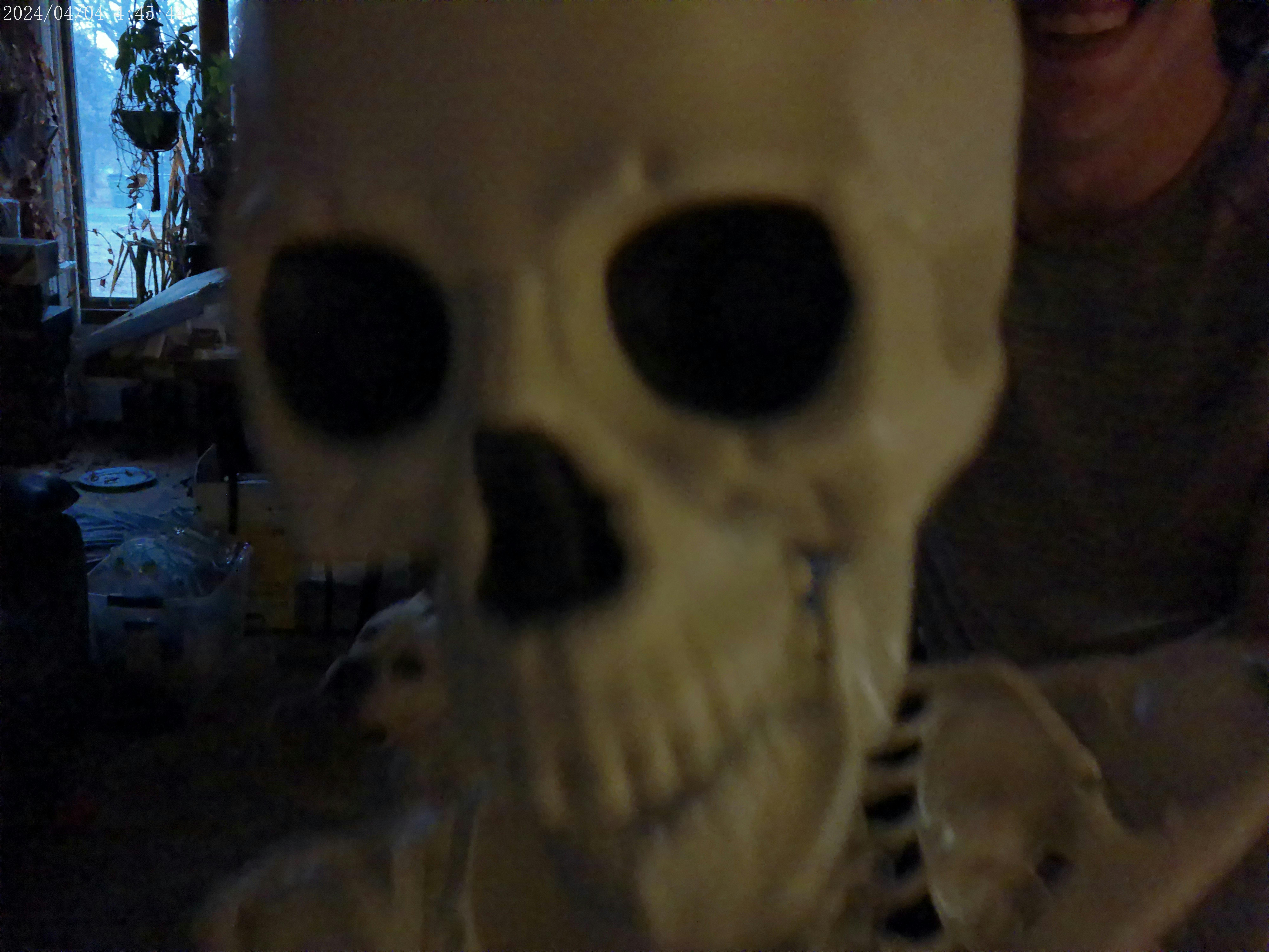 user avatar image for pikit