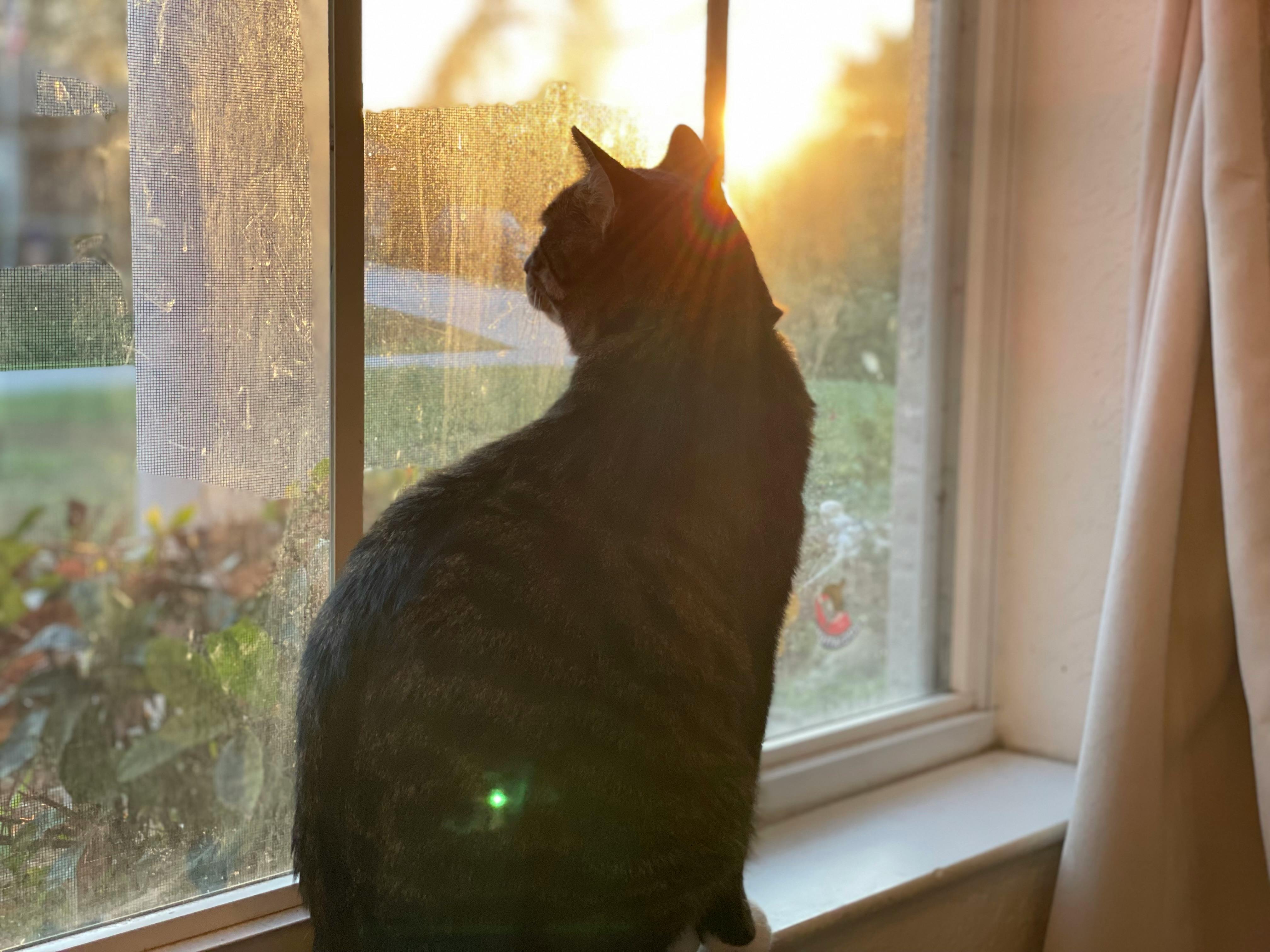 user avatar image for Bryn