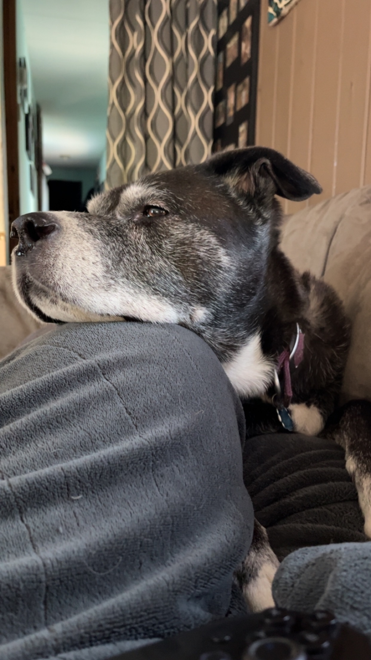 user avatar image for Tanya Metcalf