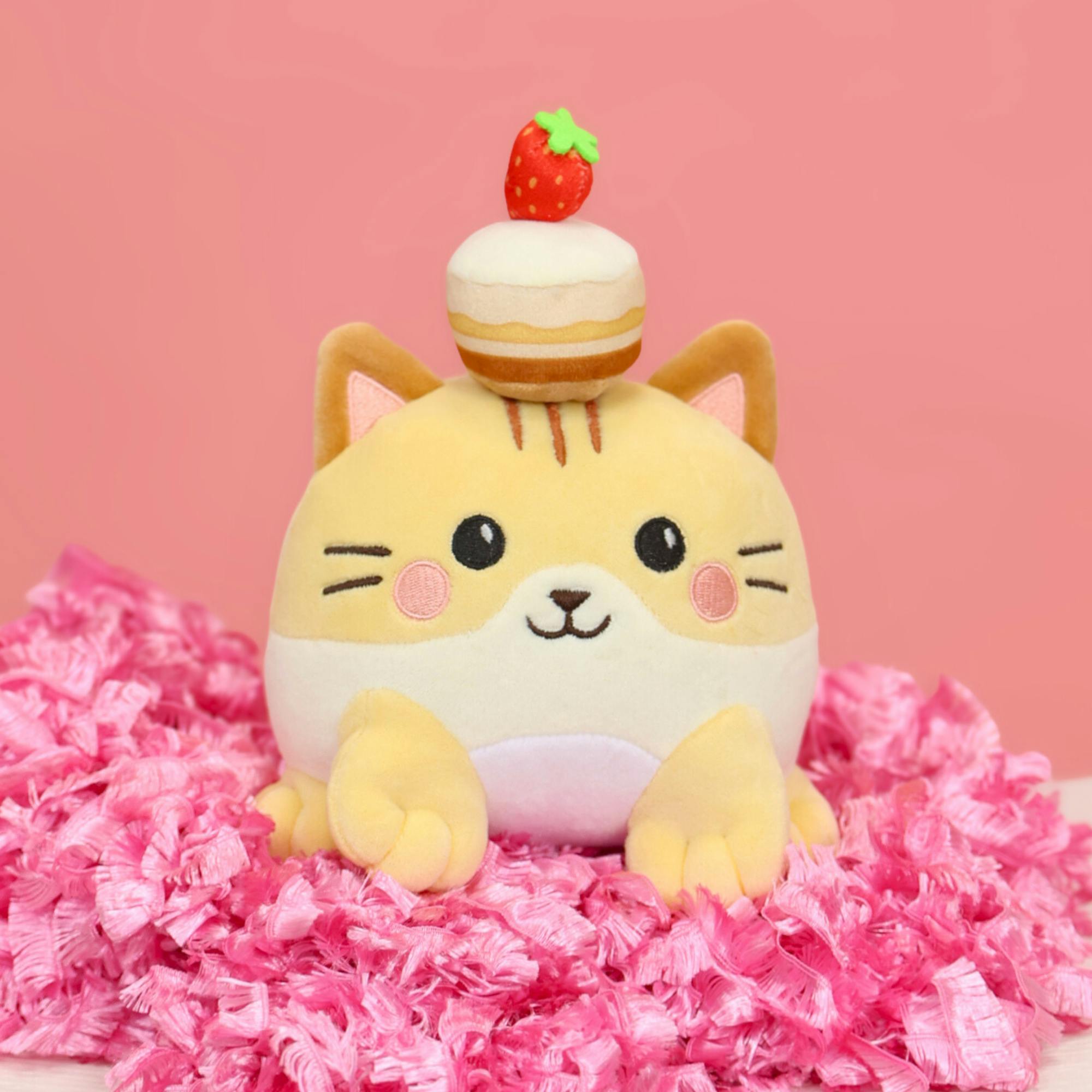 1x Shorti the Strawberry Shortcake Cat