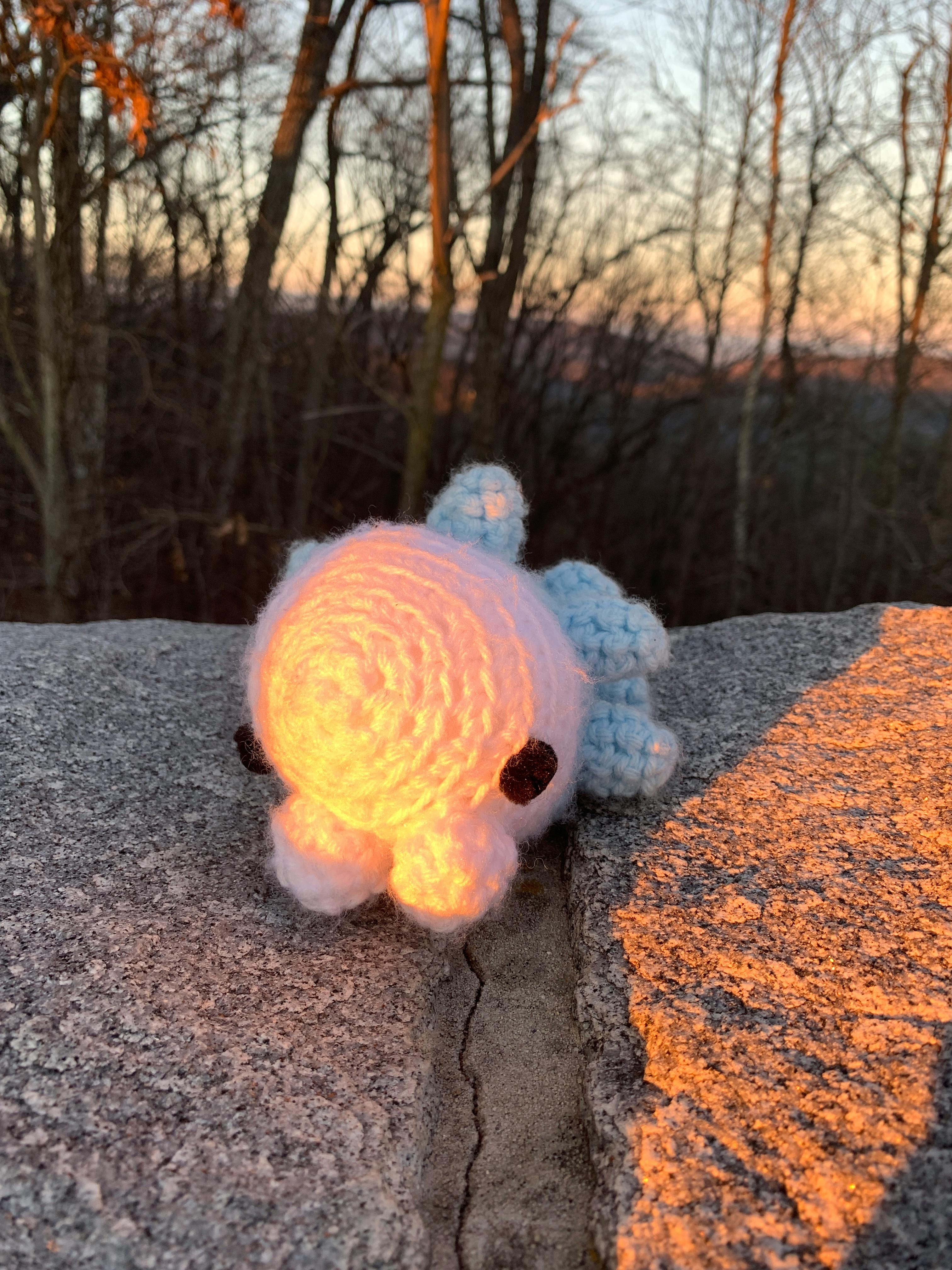 user avatar image for RS