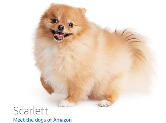 user avatar image for somebodyhere!