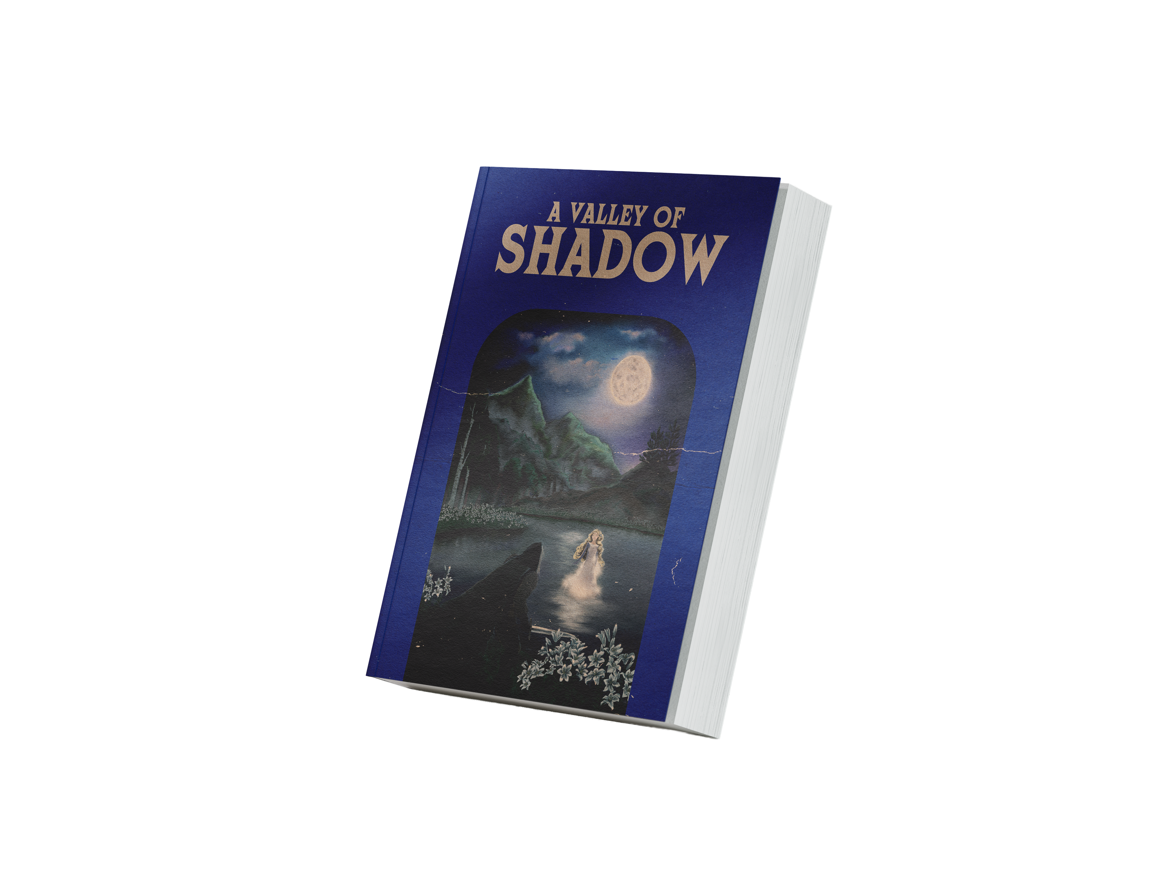 A Valley of Shadow by Lee Patton