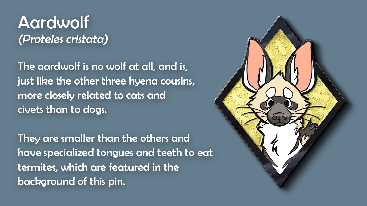 Image showing the aardwolf portrait pin. Caption: Aardwolf (Proteles cristata). The aardwolf is no wolf at all, and is, just like the other three hyena cousins, more closely related to cats and civets than to dogs. They are smaller than the others and have specialized tongues and teeth to eat termites, which are featured in the background of this pin.