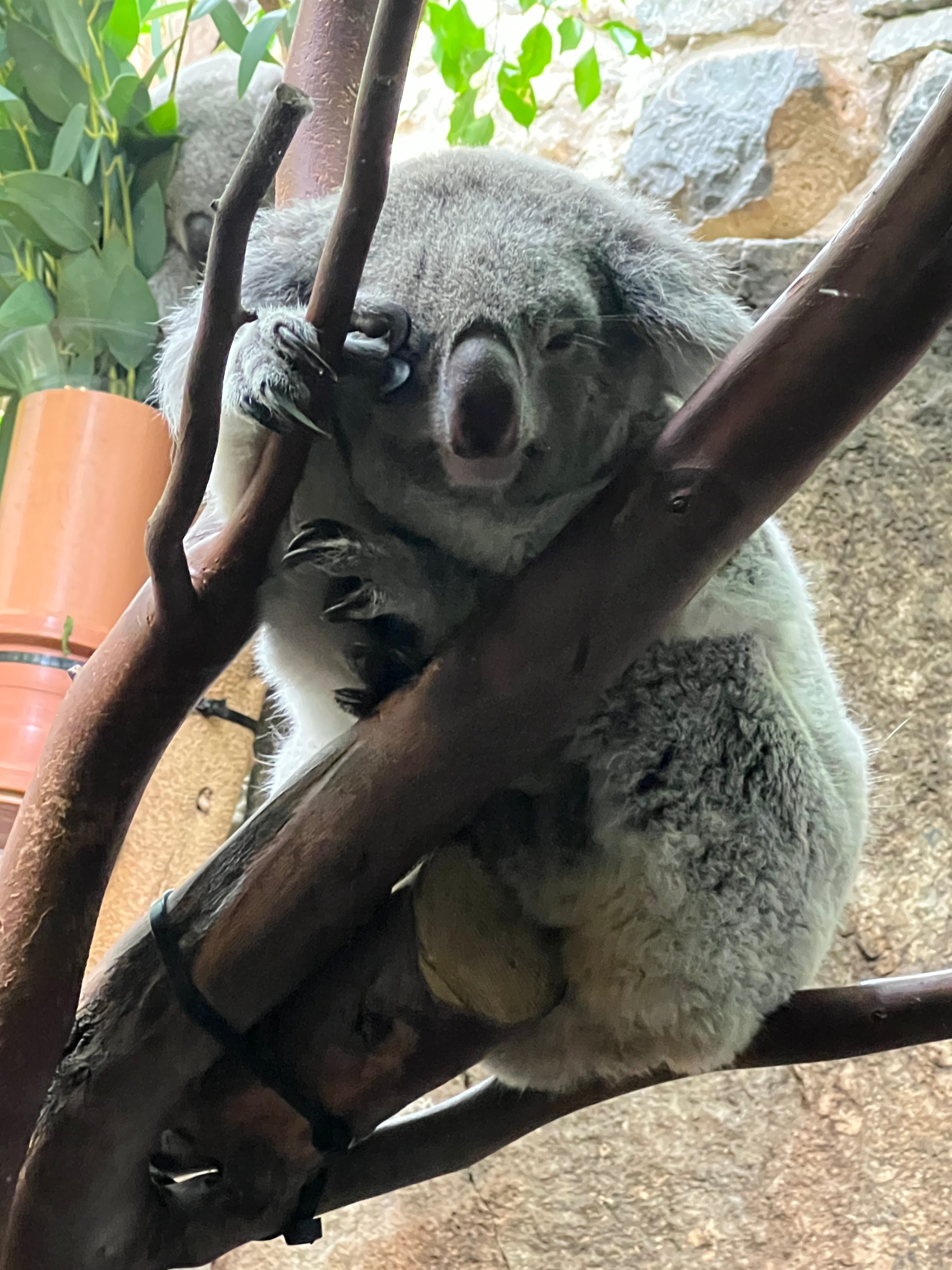 user avatar image for Andrew Saveall