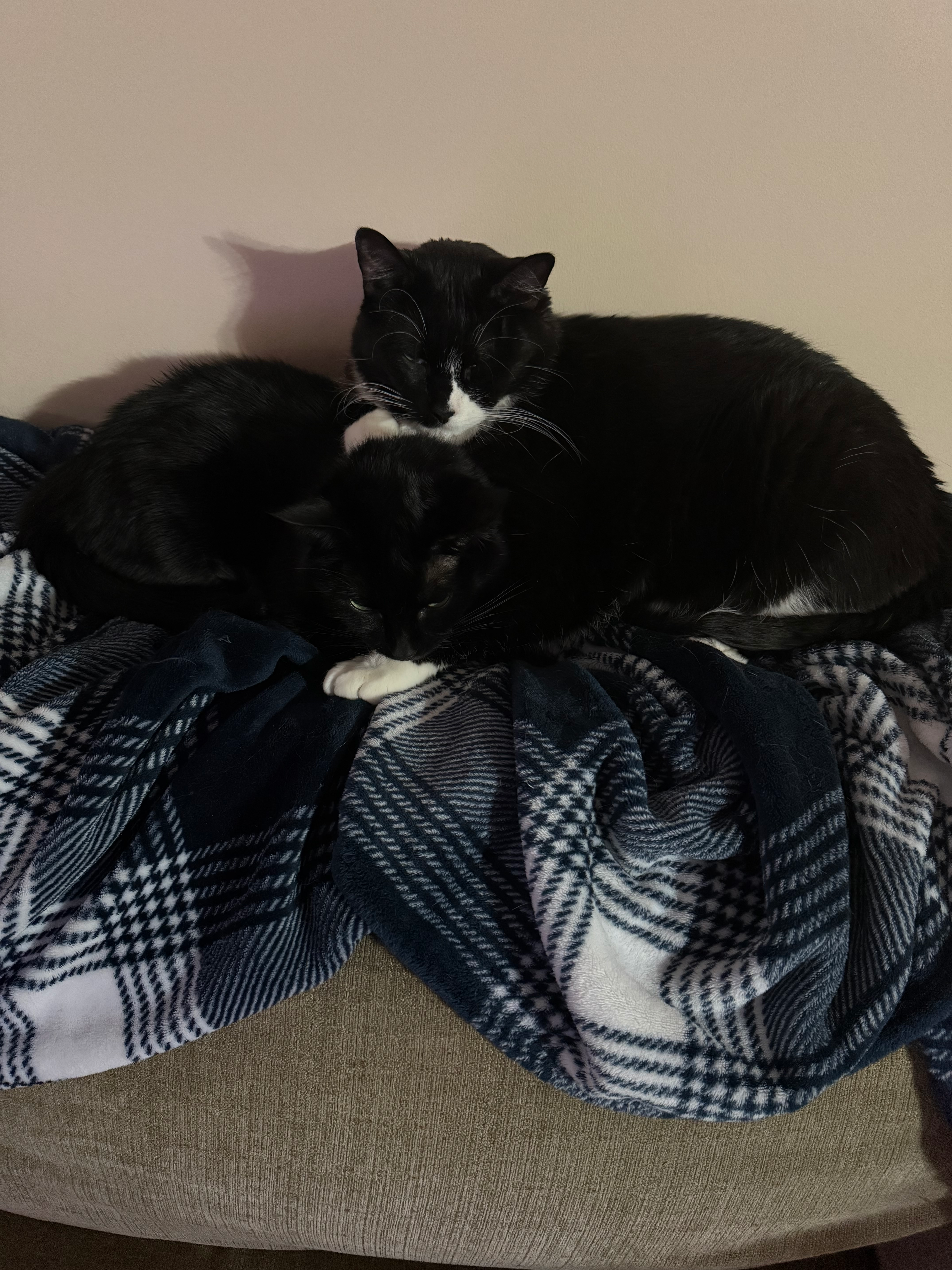 user avatar image for Christina