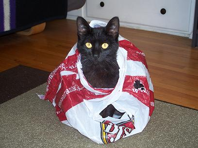 user avatar image for Sardel