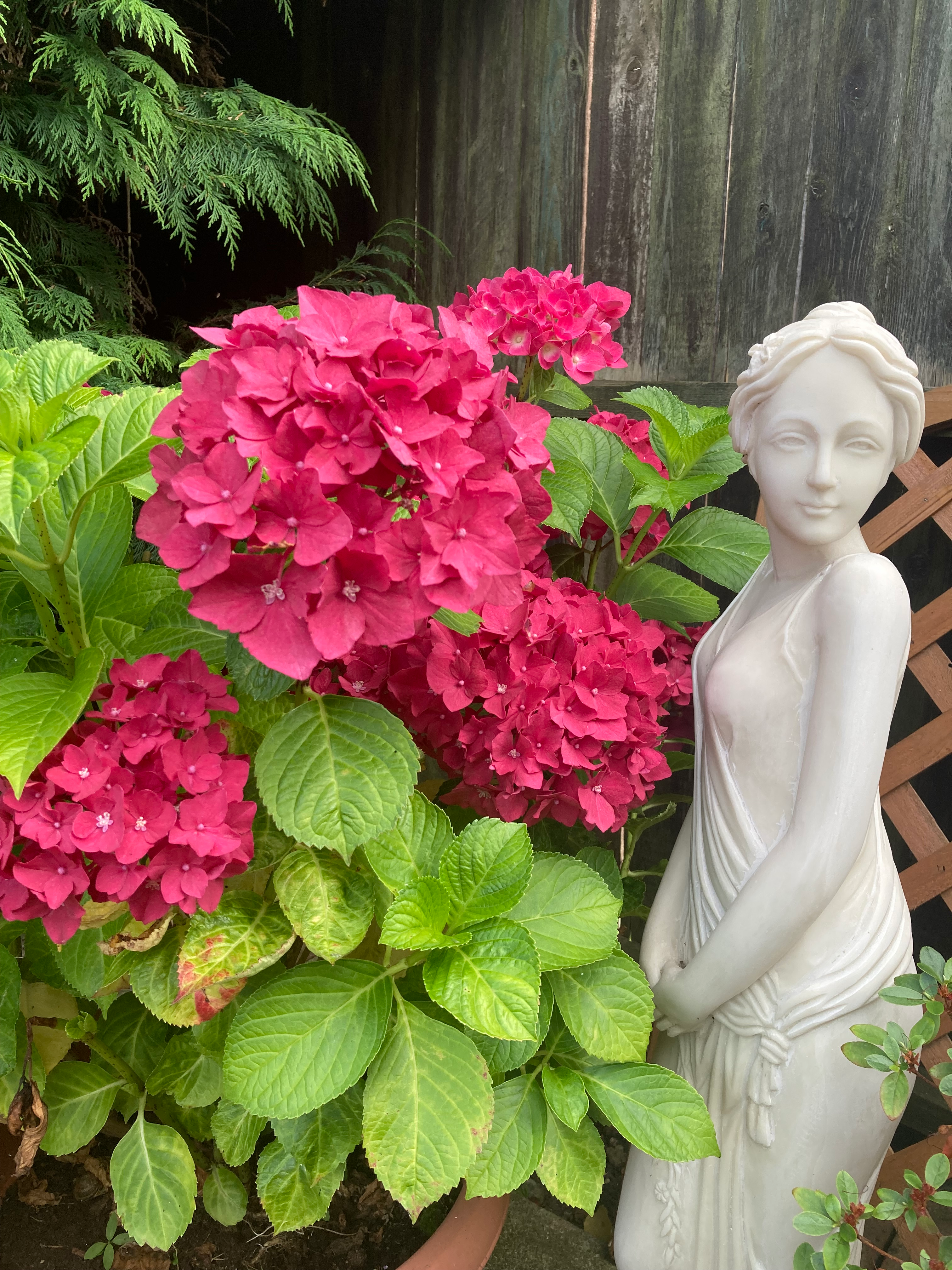 user avatar image for Keira Lloyd