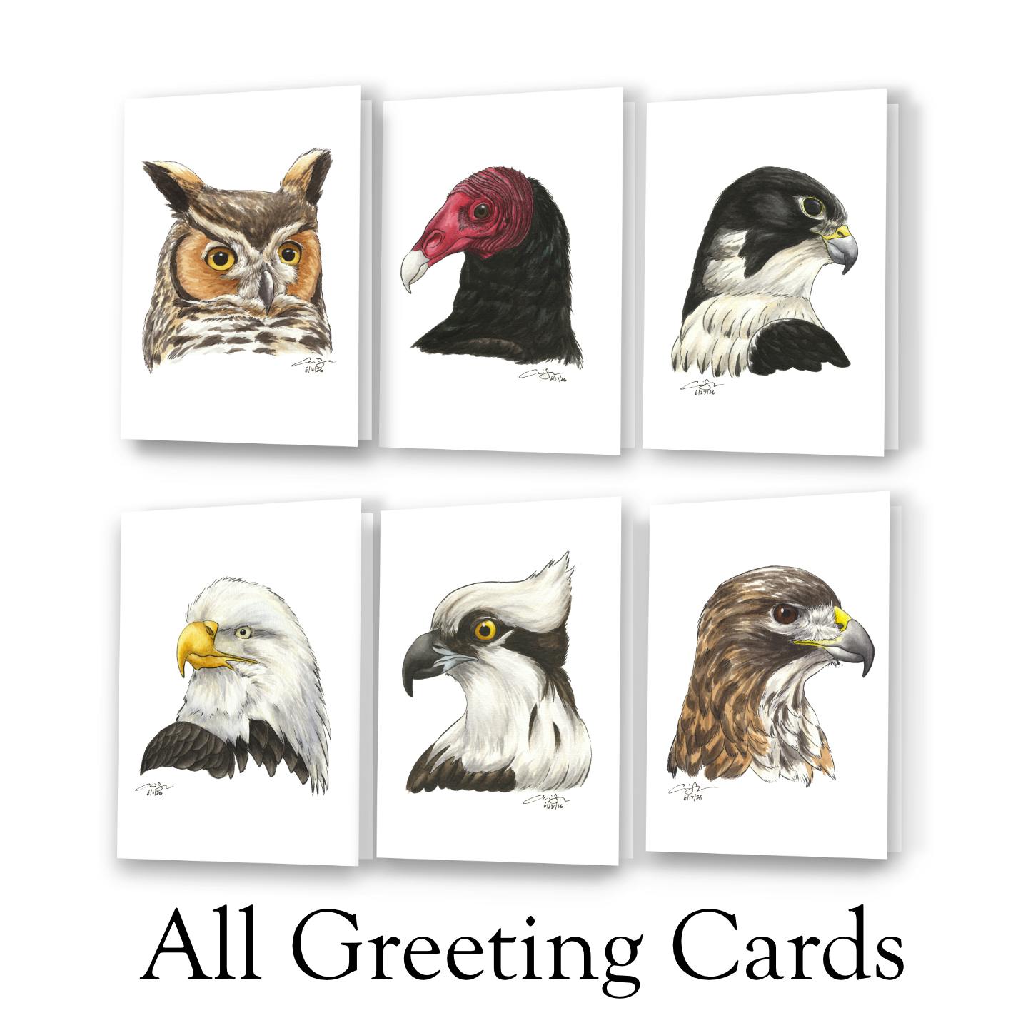 Raptor Greeting Cards Complete Set (6 Cards)