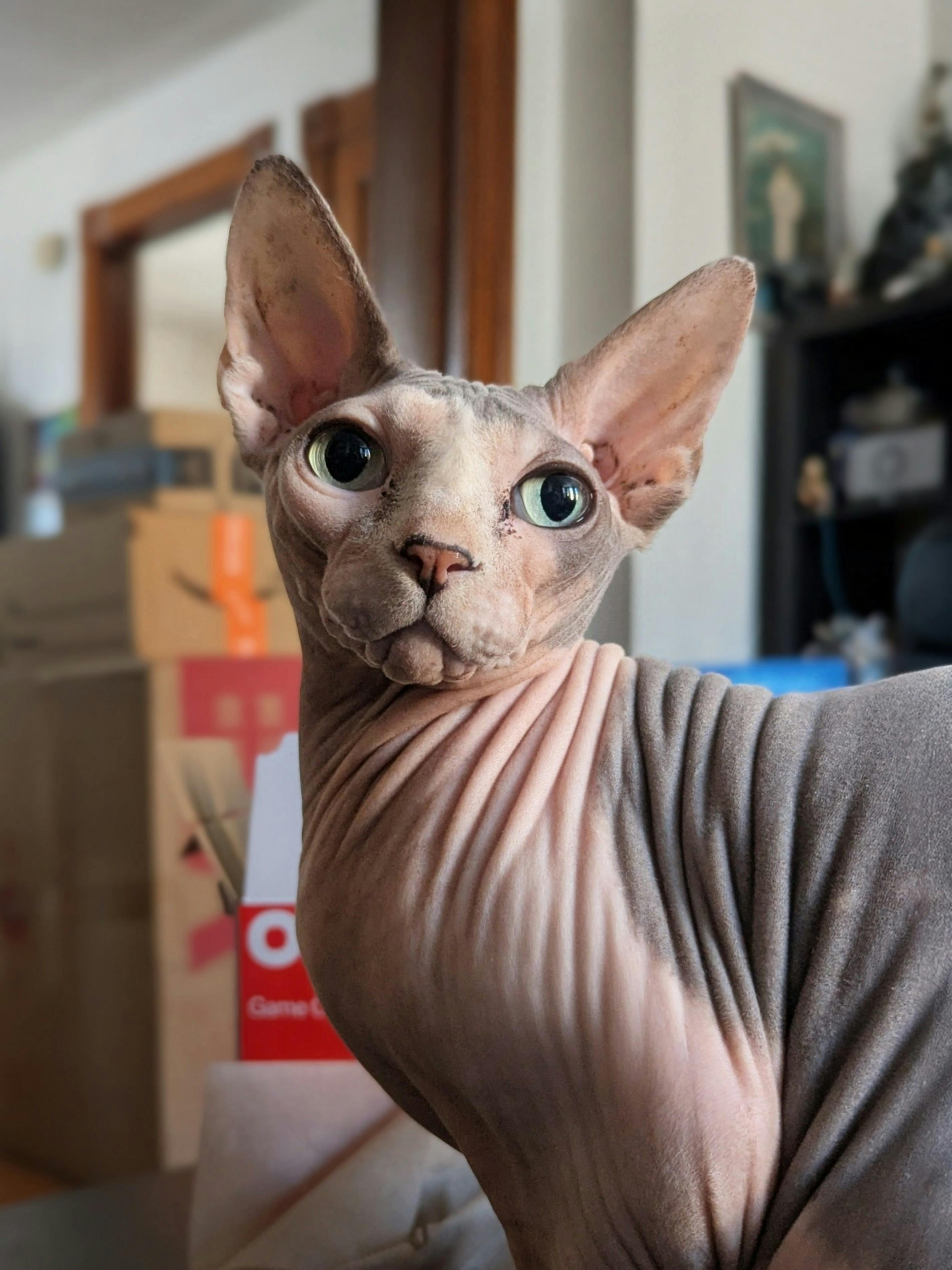 user avatar image for Emily 