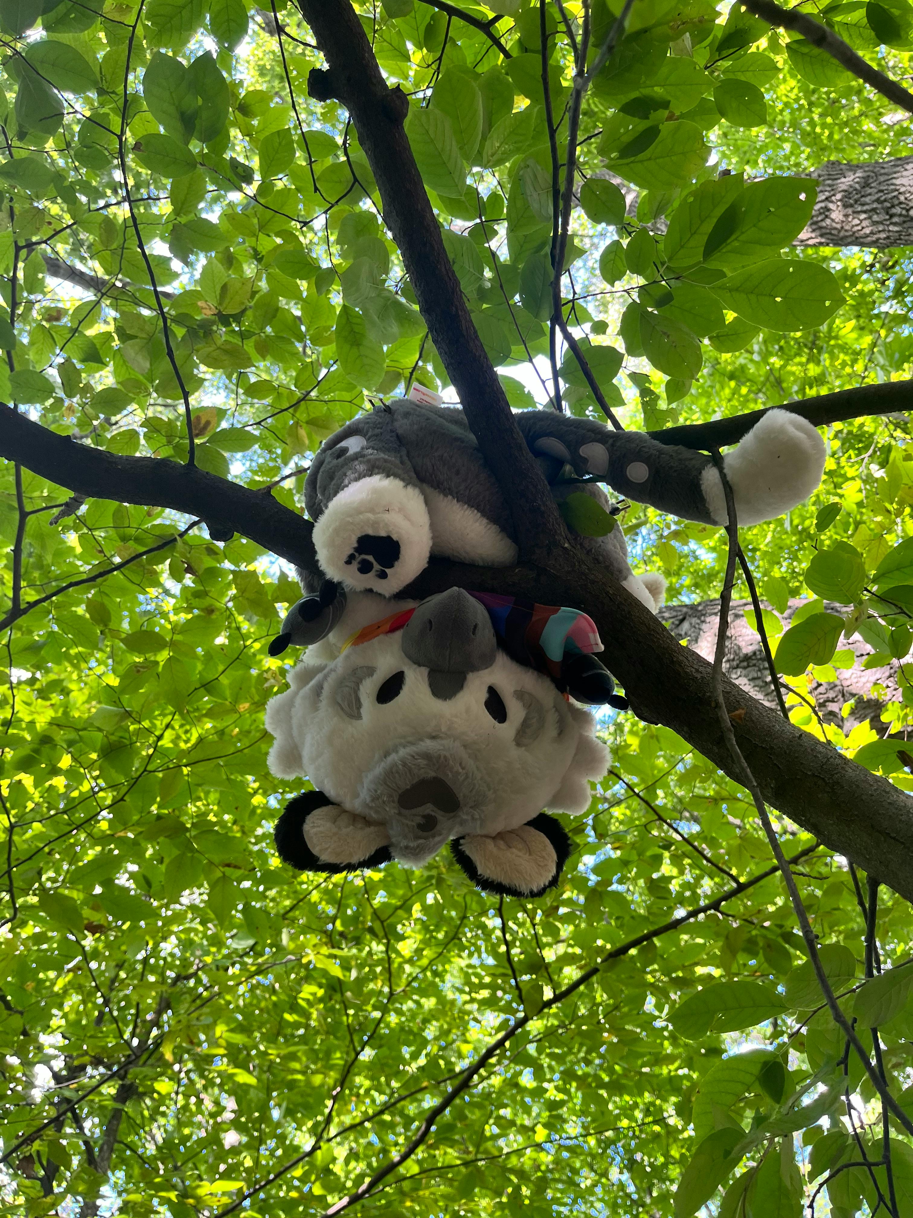 user avatar image for Prince