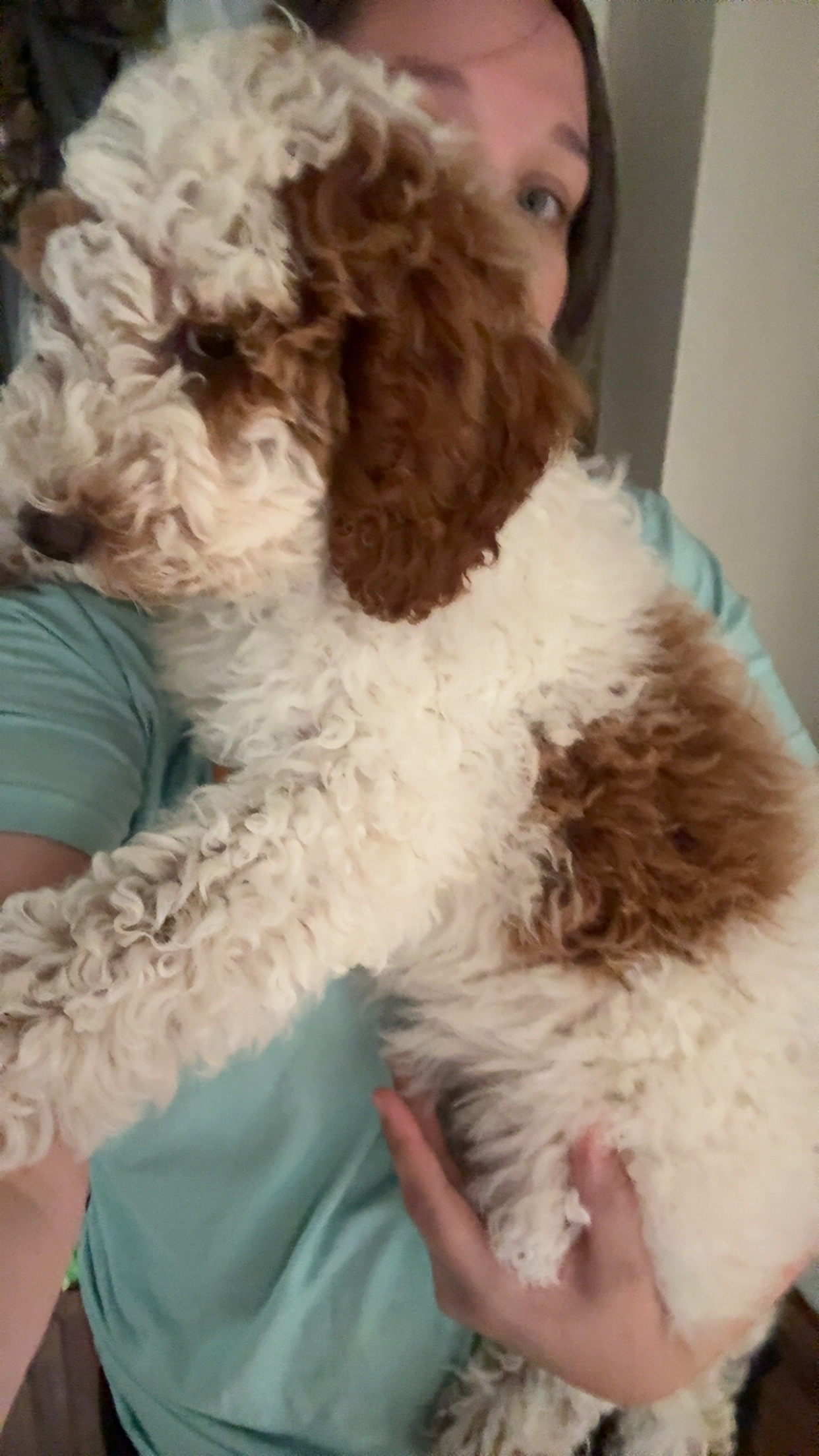 user avatar image for Mafry89