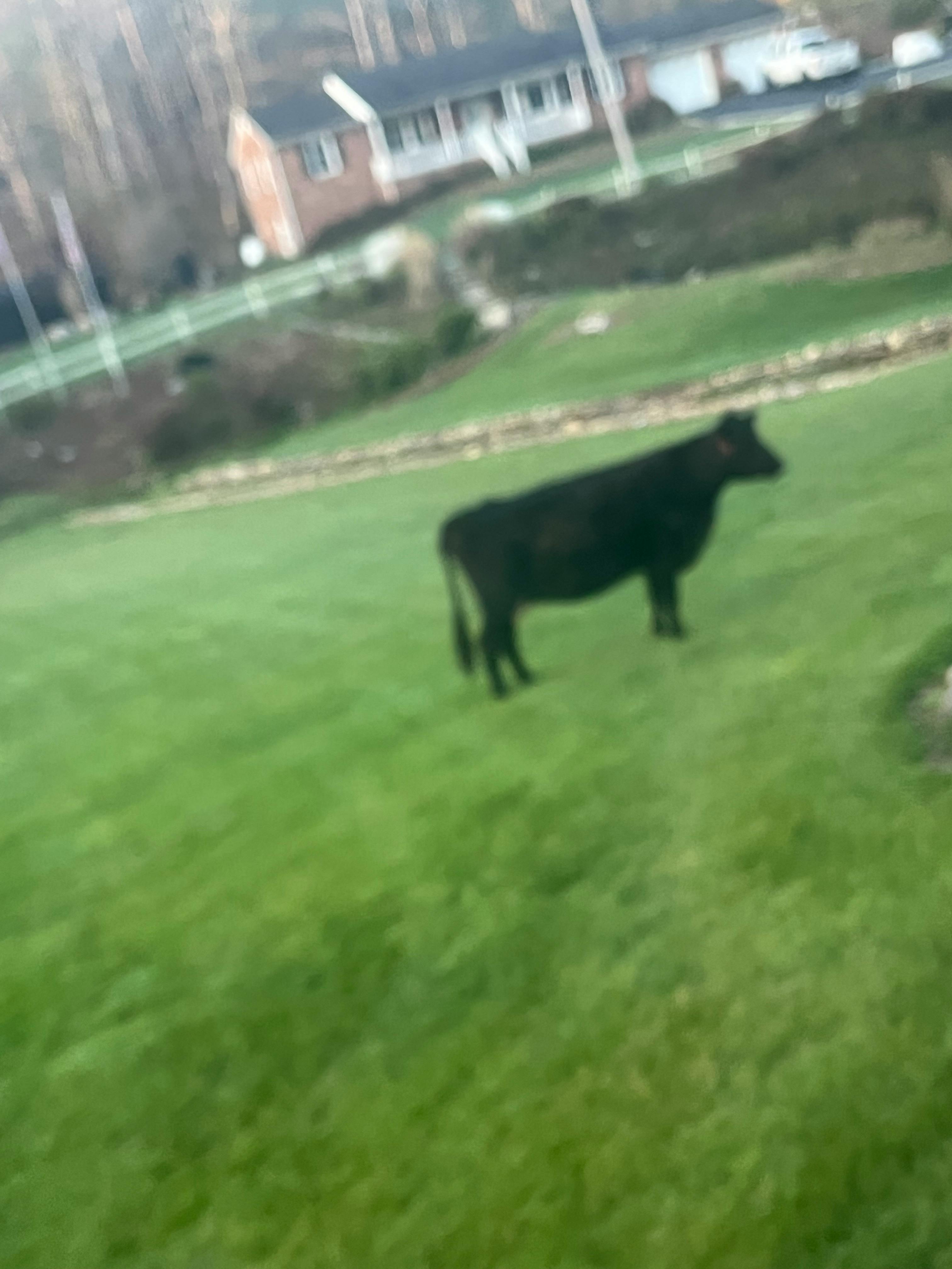 user avatar image for Phoenix