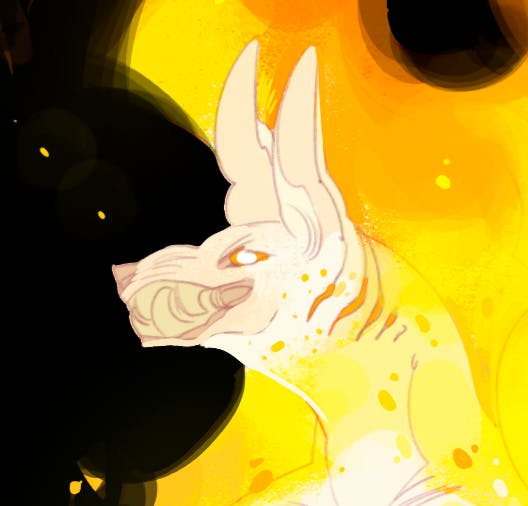 user avatar image for Ana