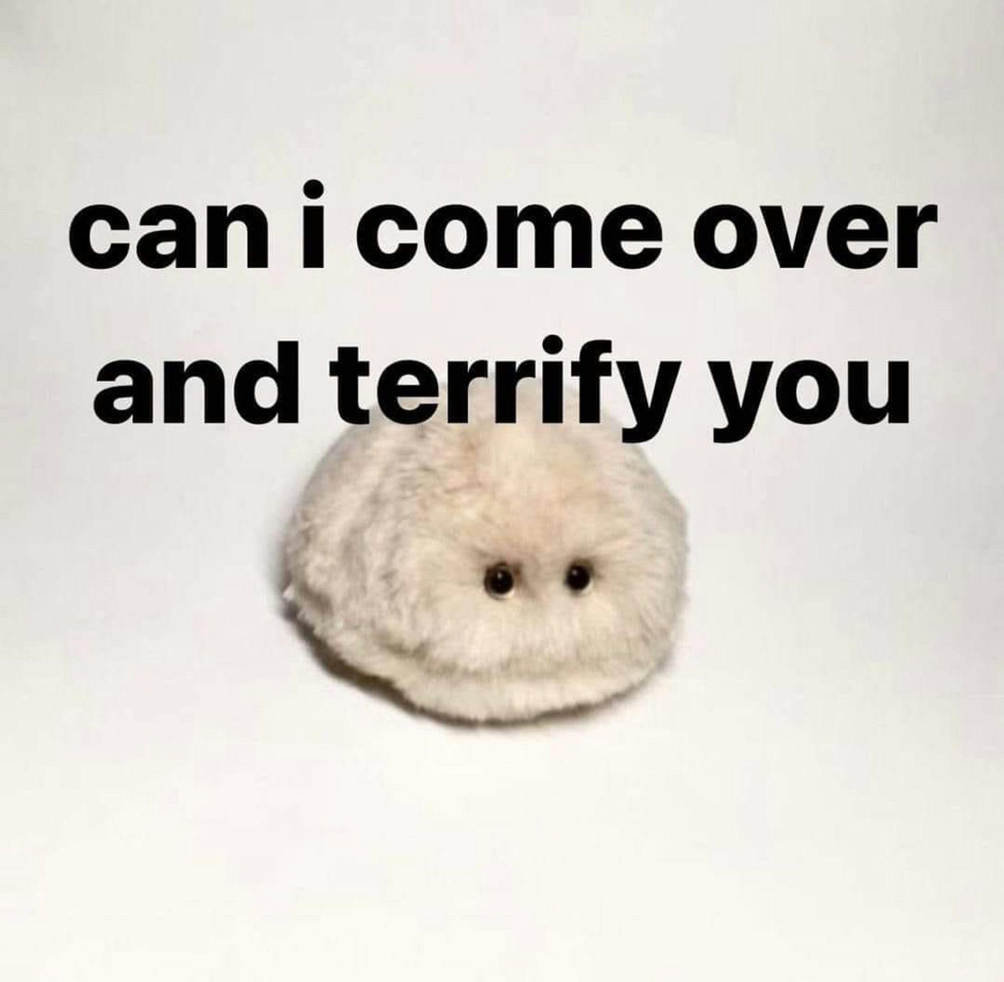 user avatar image for Crystarium Codex 