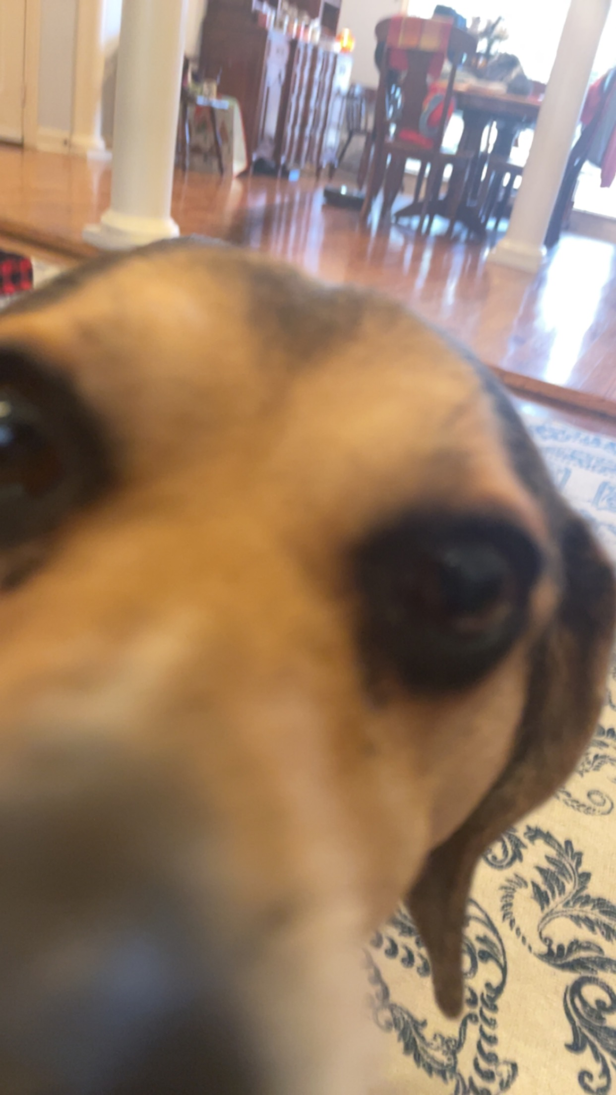 user avatar image for Maddie