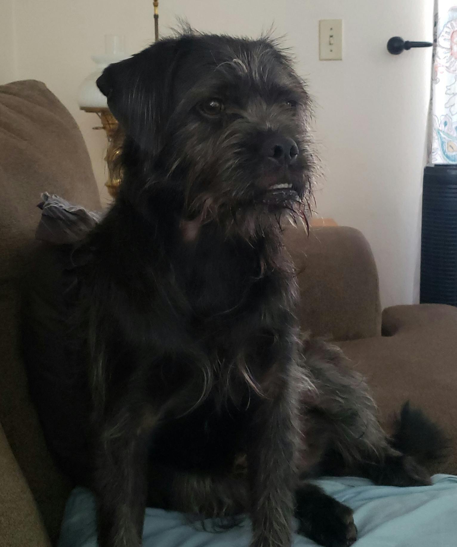 user avatar image for Shawn Gaffney