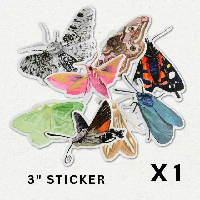 8 different 3 inch moth stickers showing a peppered moth, female emperor moth, scarlet tiger moth, scarce forester moth, hummingbird hawk-moth and large emerald moth.