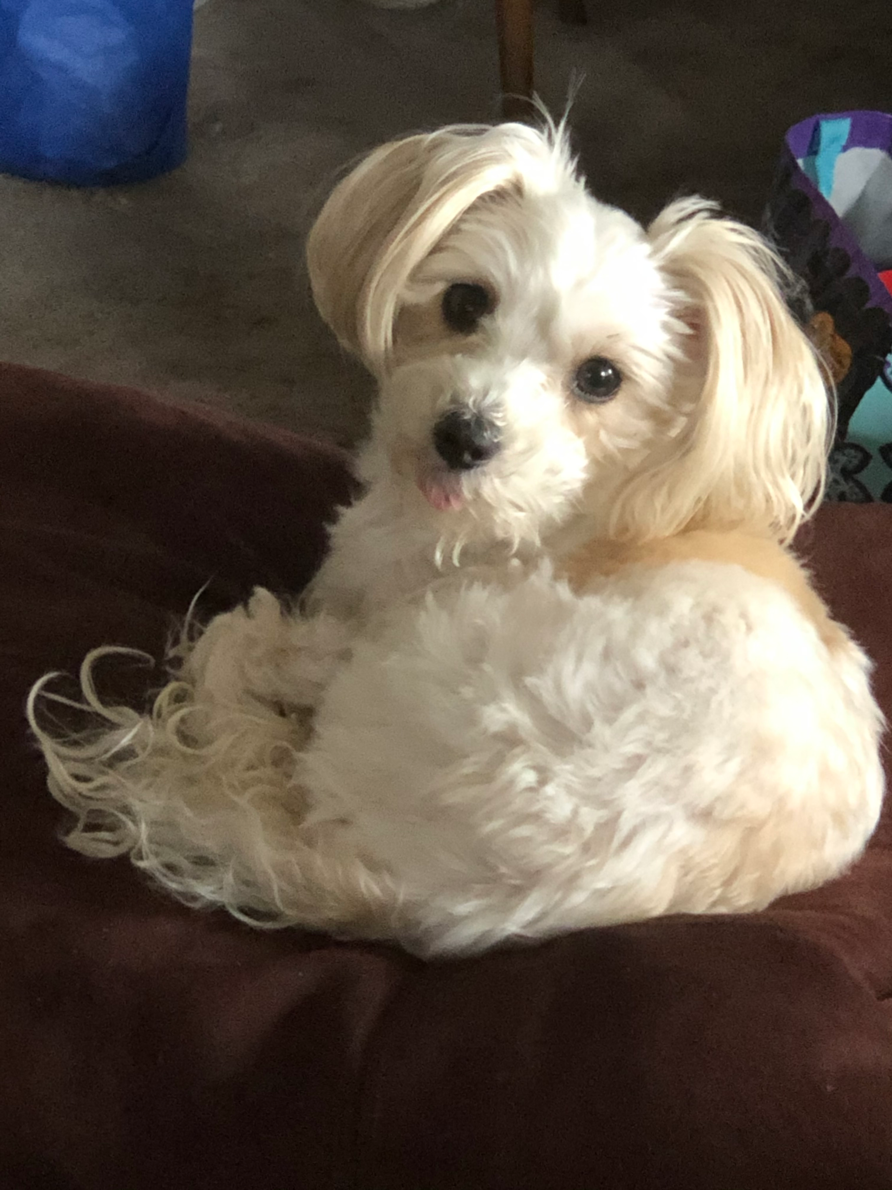 user avatar image for Pamela