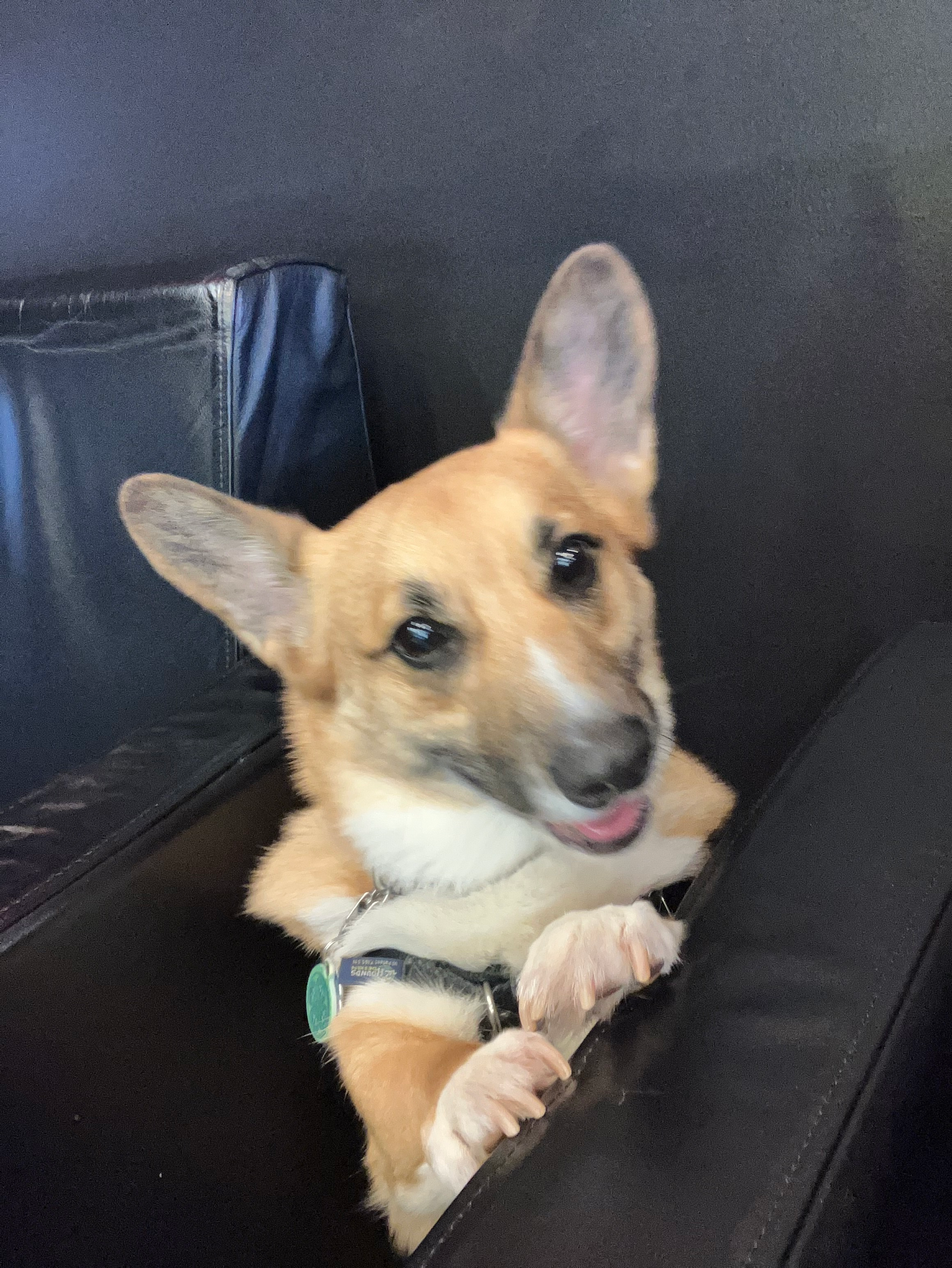 user avatar image for Siospins