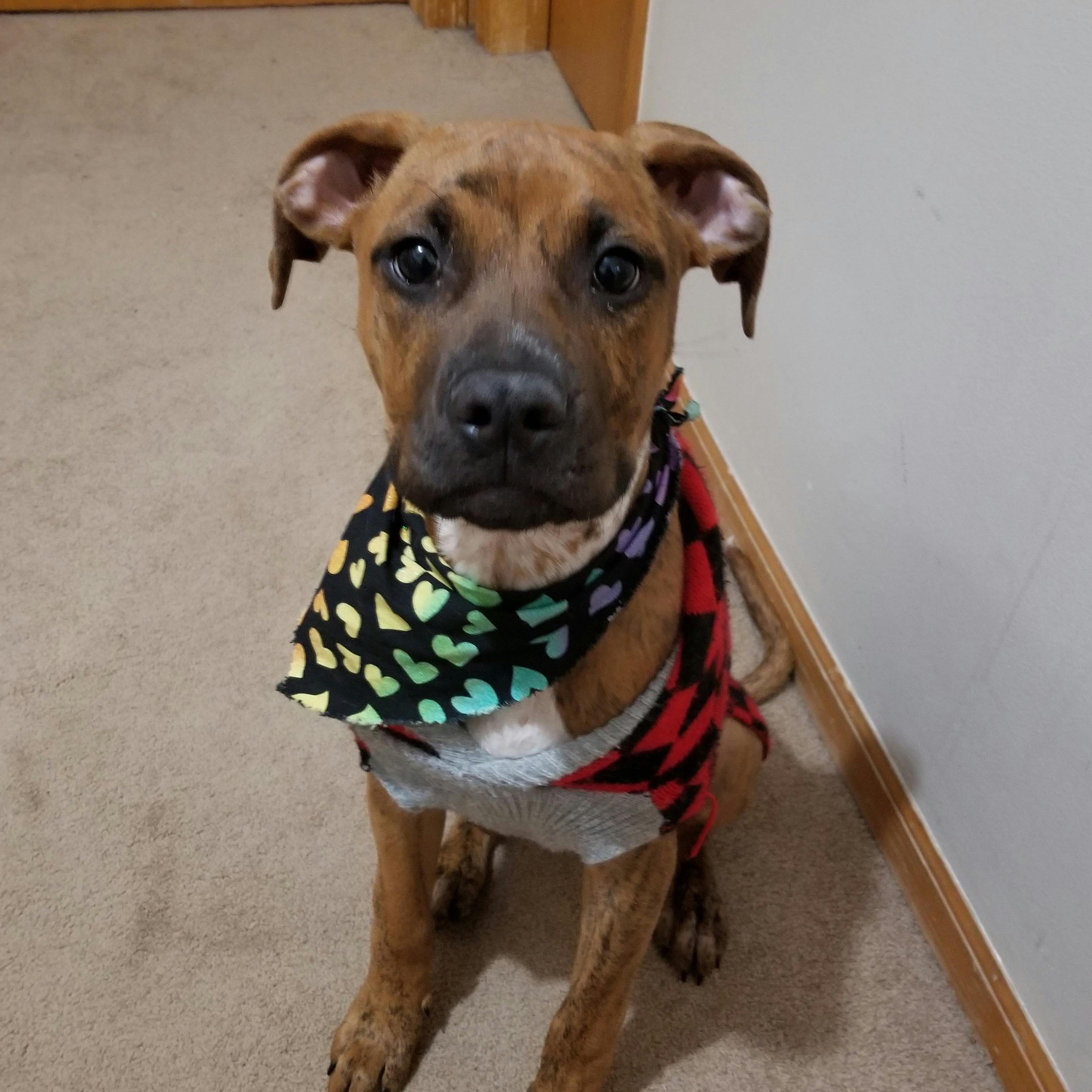 user avatar image for TBarker