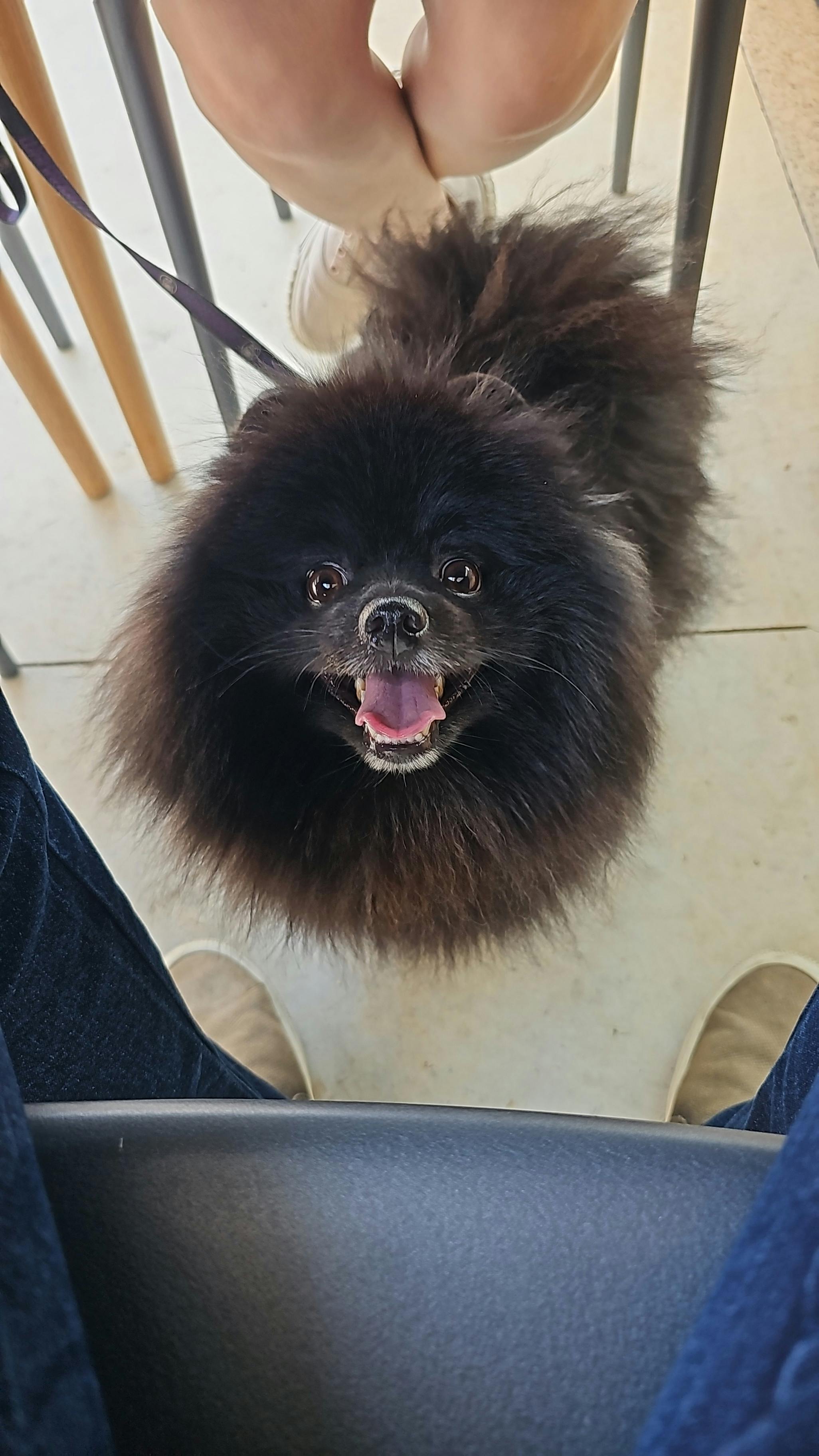 user avatar image for Boëchat