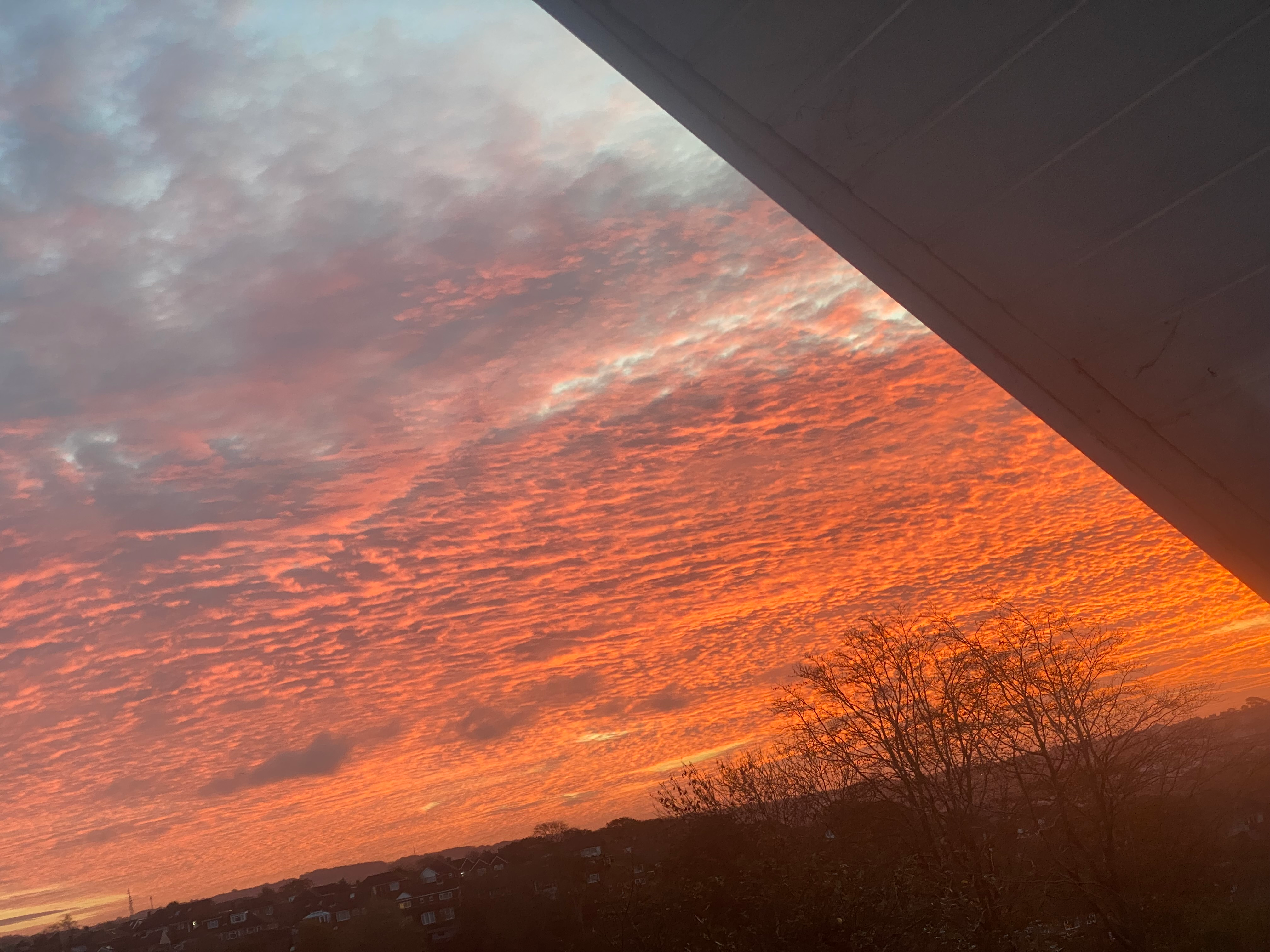 user avatar image for Earthsembers