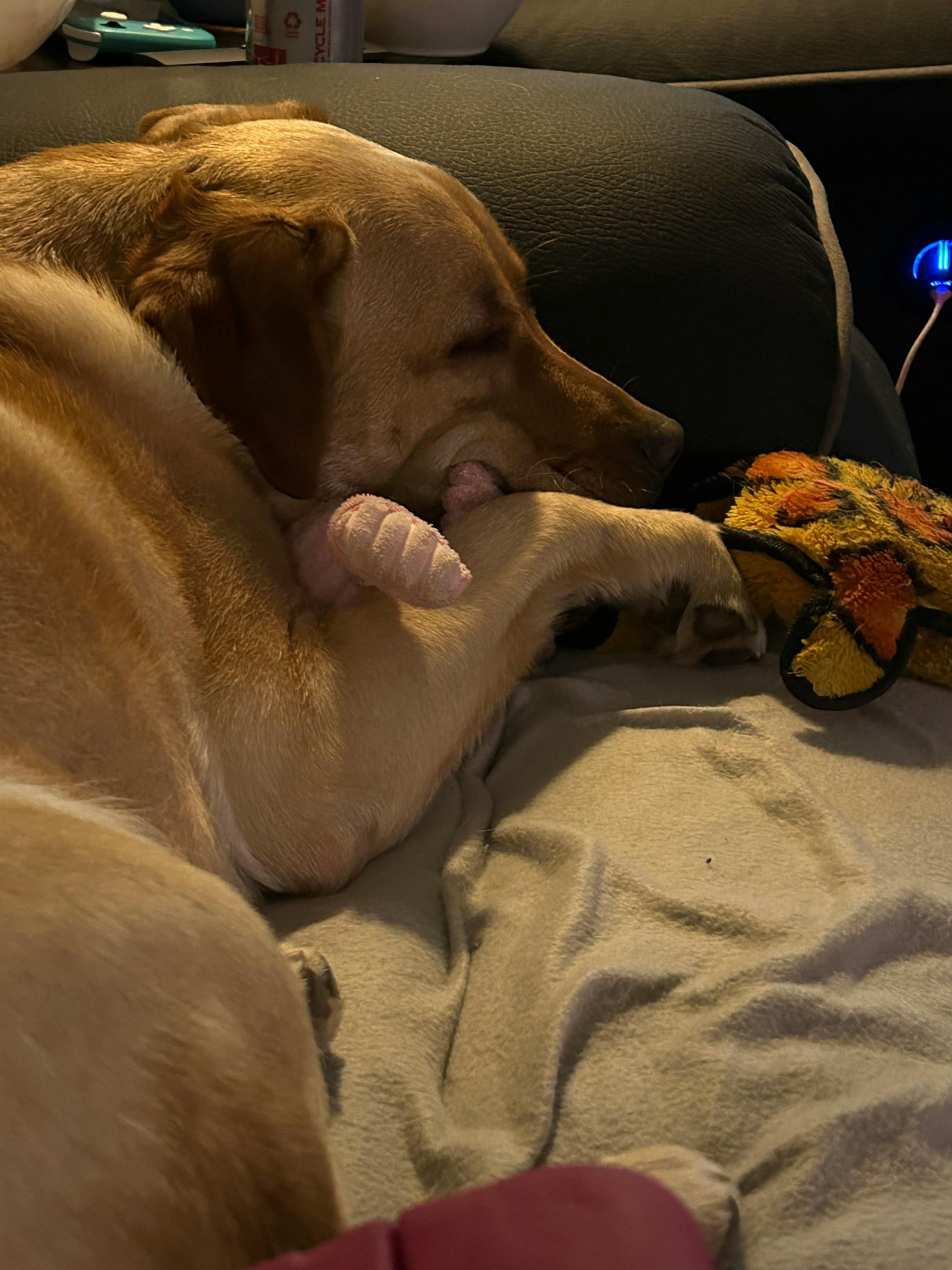 user avatar image for Jessica