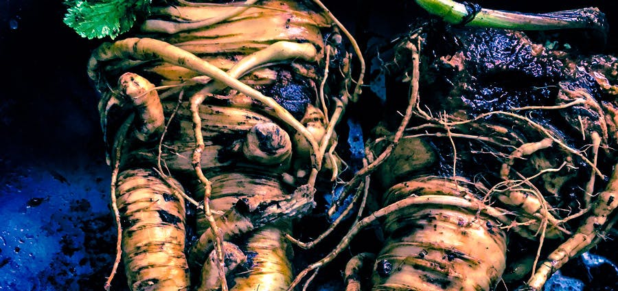 user avatar image for Parsnips