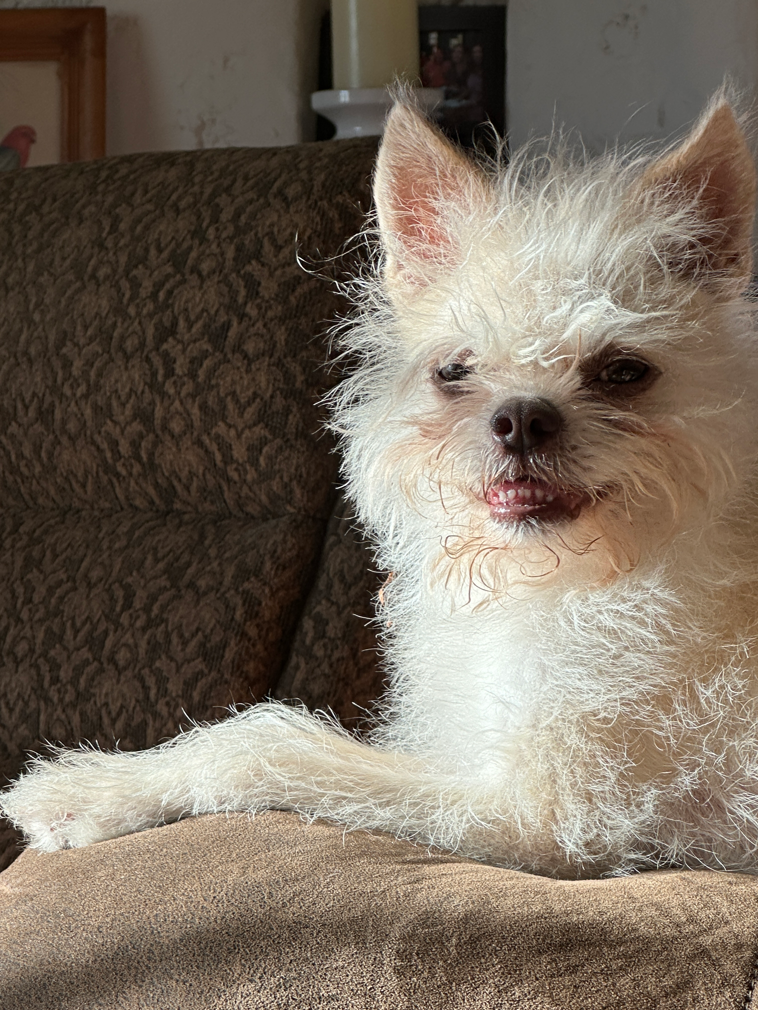 user avatar image for Jan