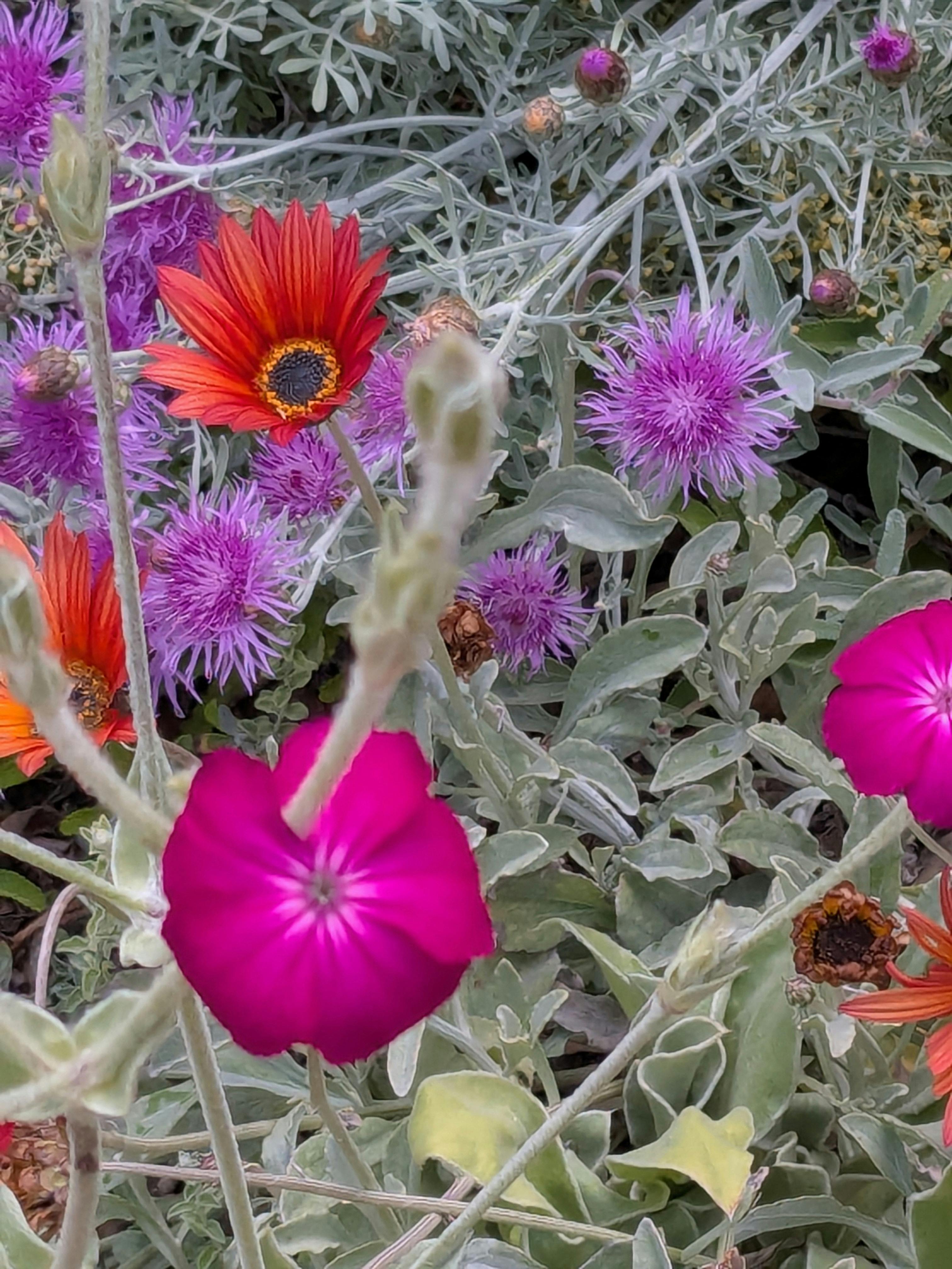 user avatar image for E. M.