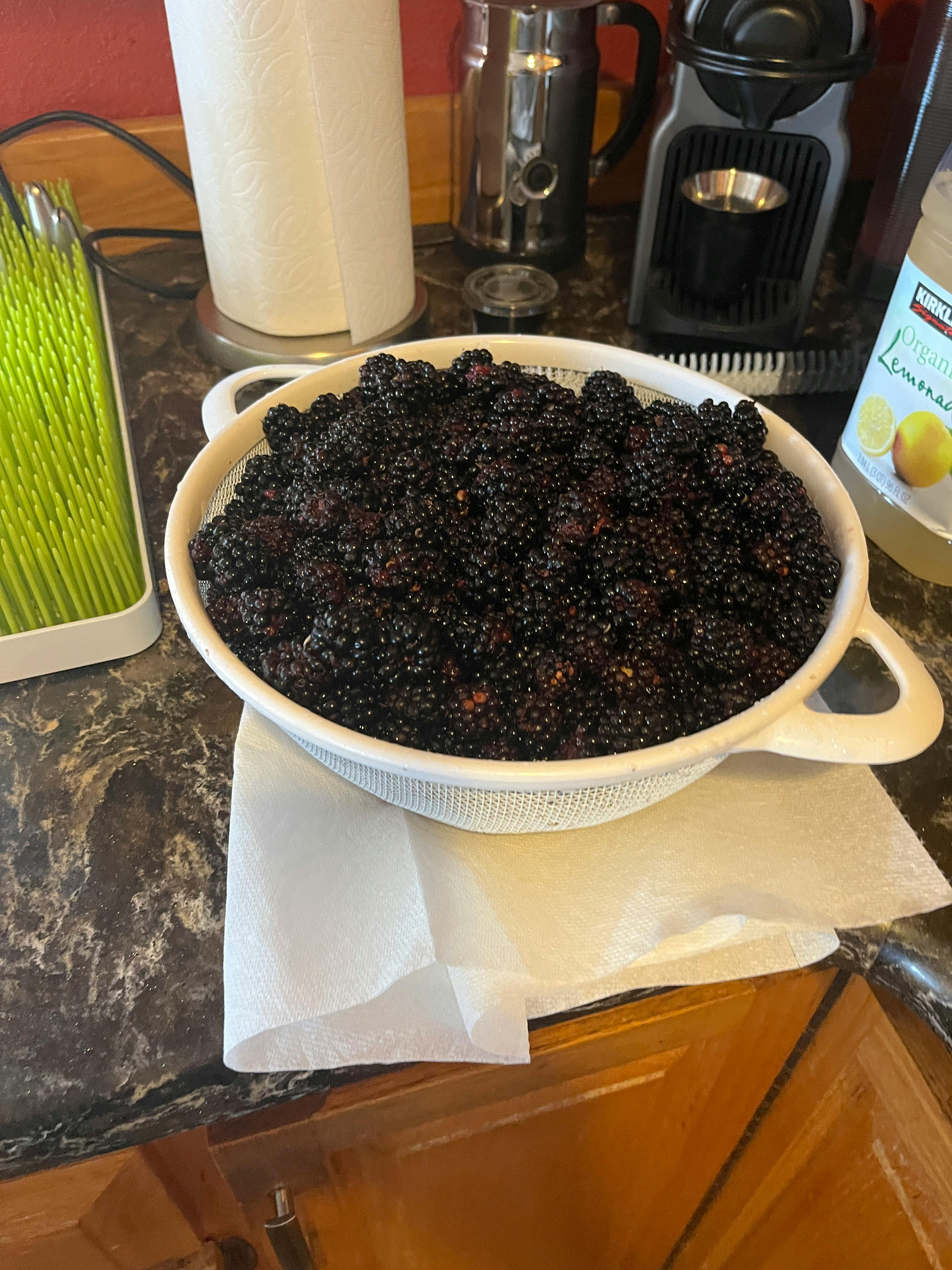 user avatar image for Whatcom