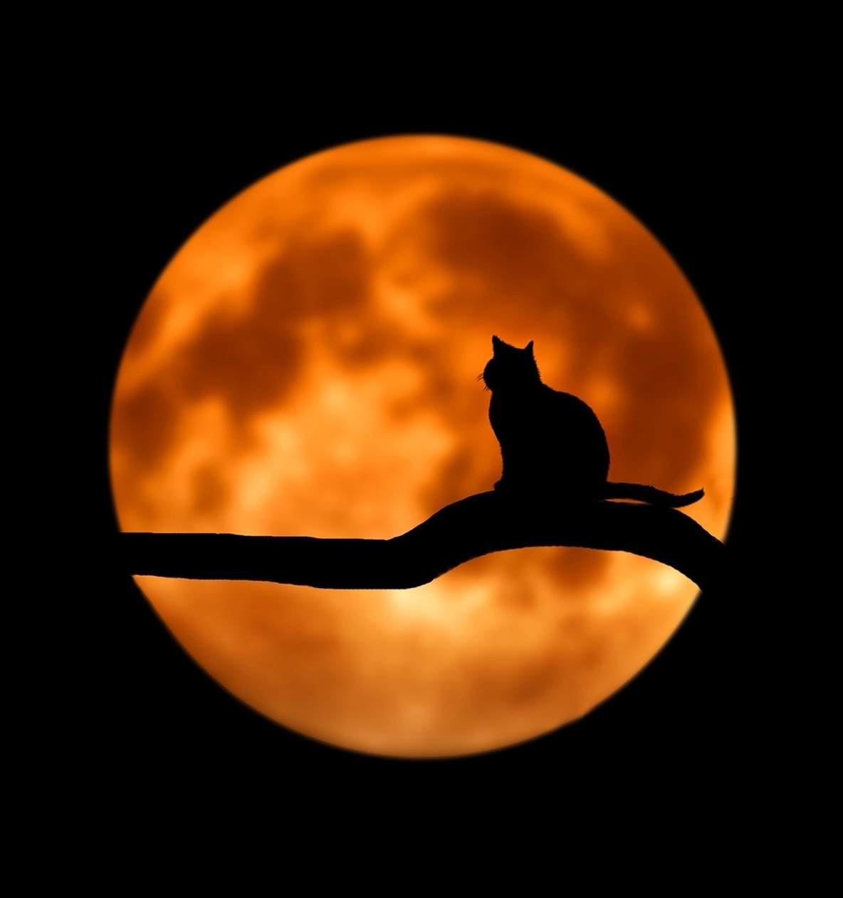 user avatar image for Elliott 