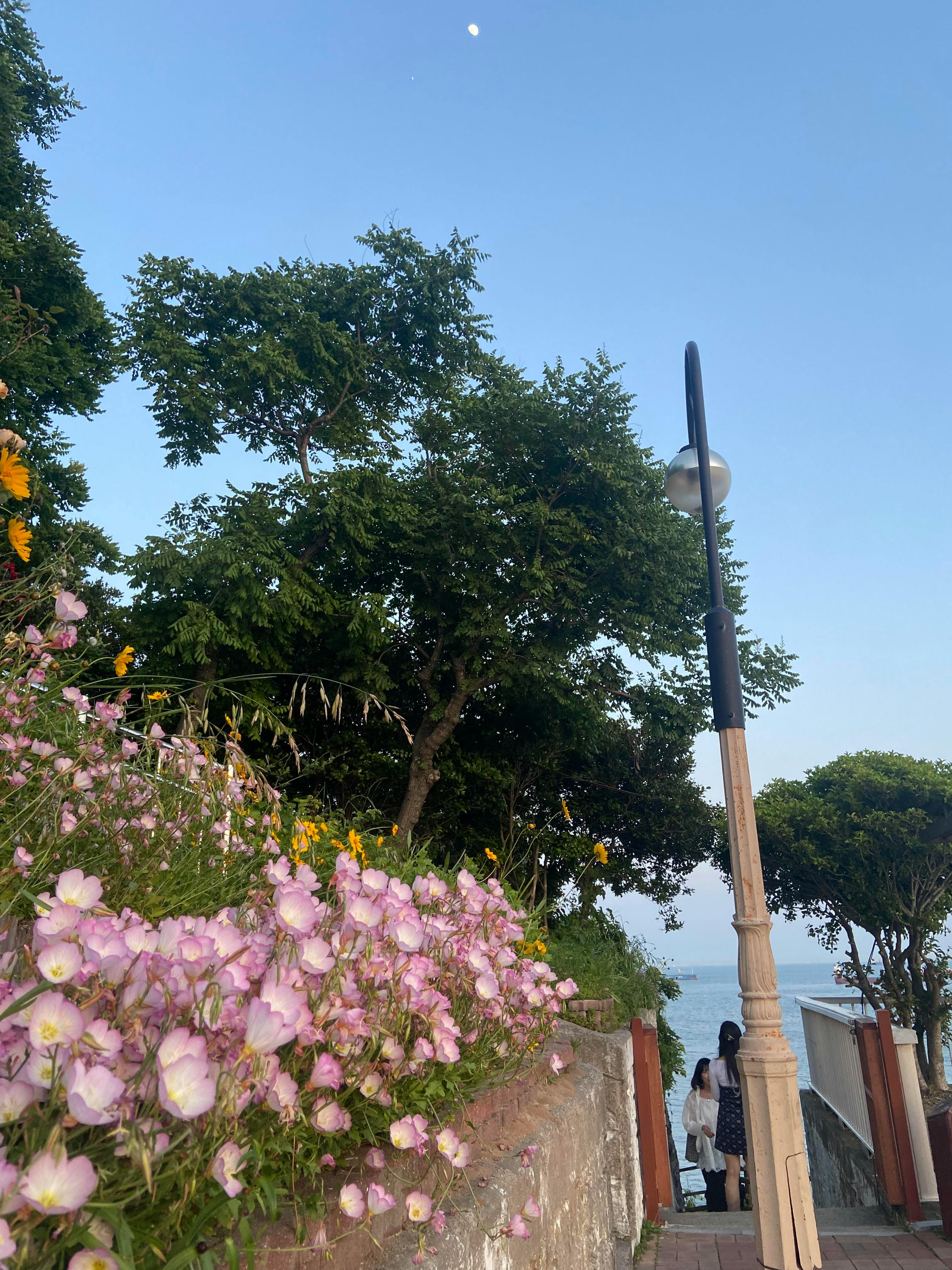 user avatar image for JM