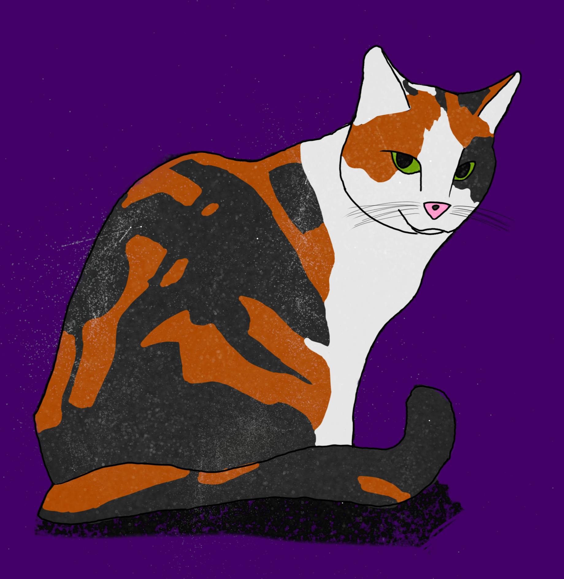 user avatar image for Jules