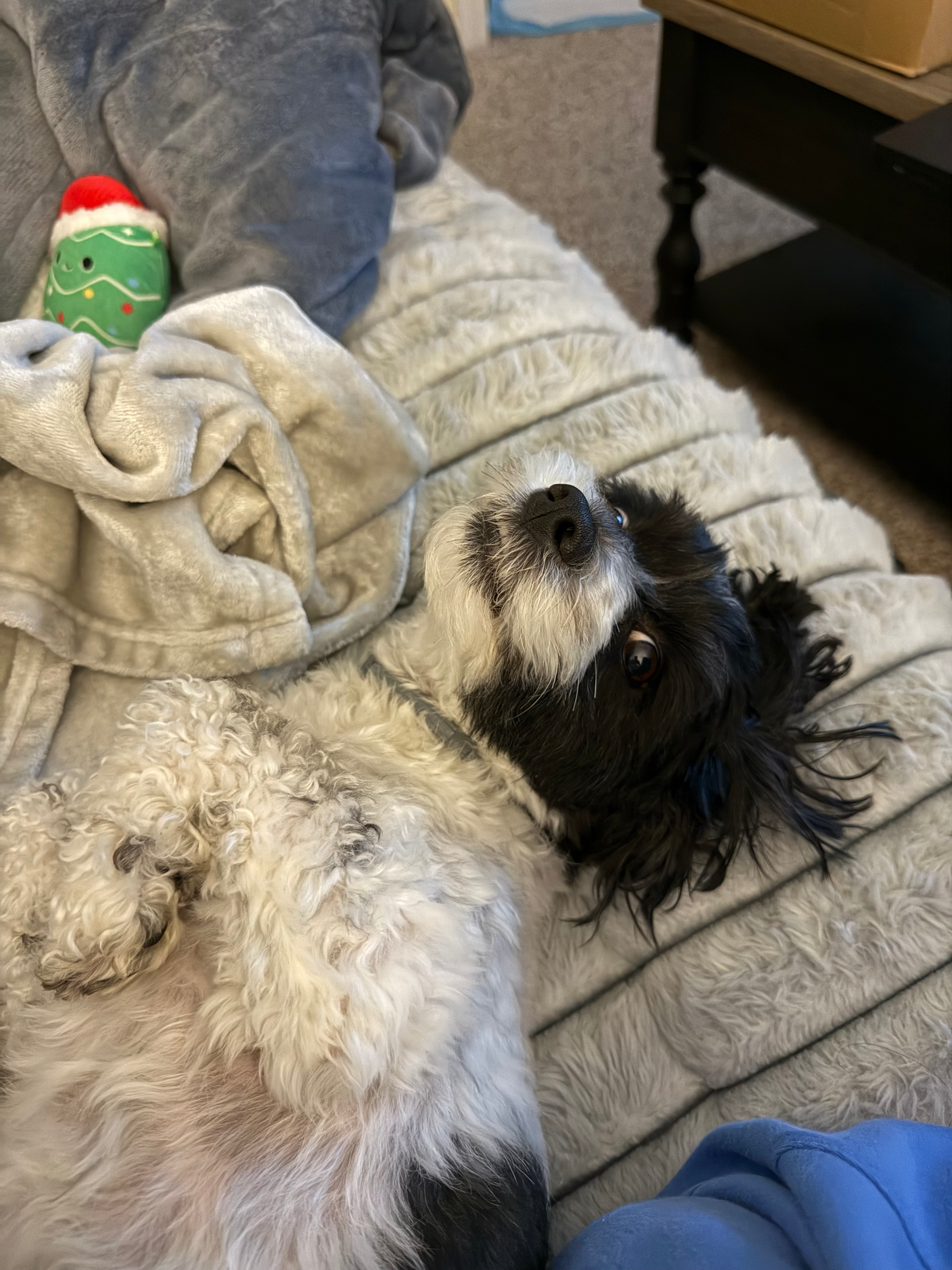 user avatar image for Emily