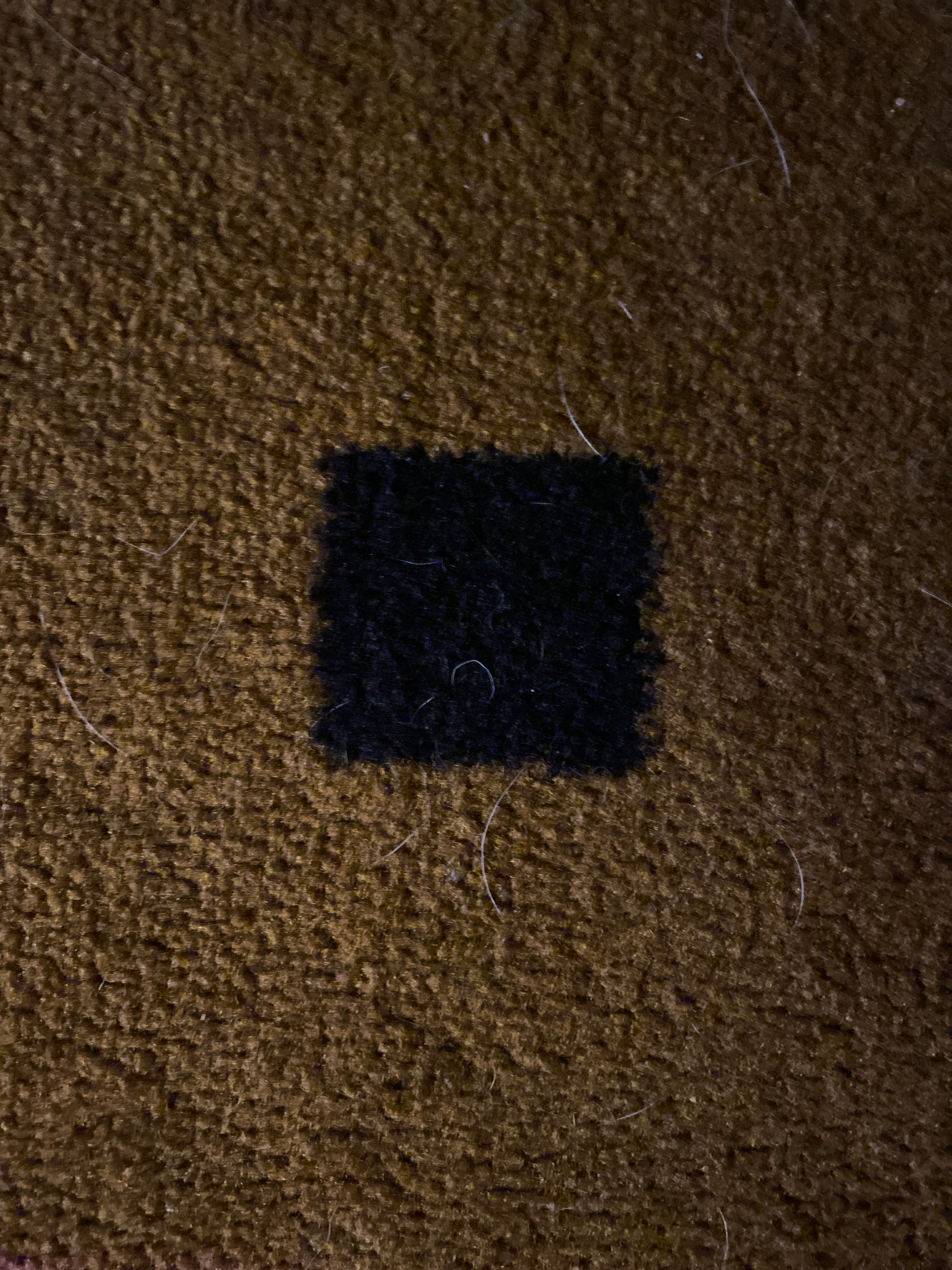 user avatar image for Bluc