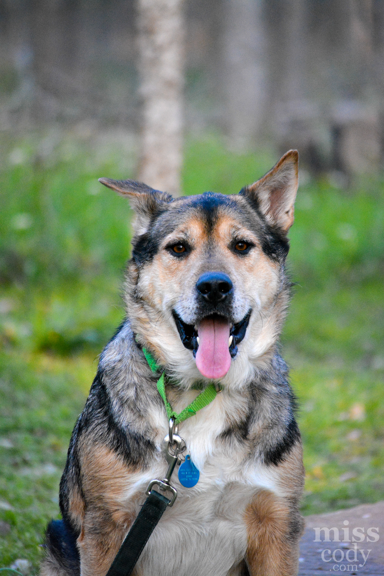 user avatar image for codeline