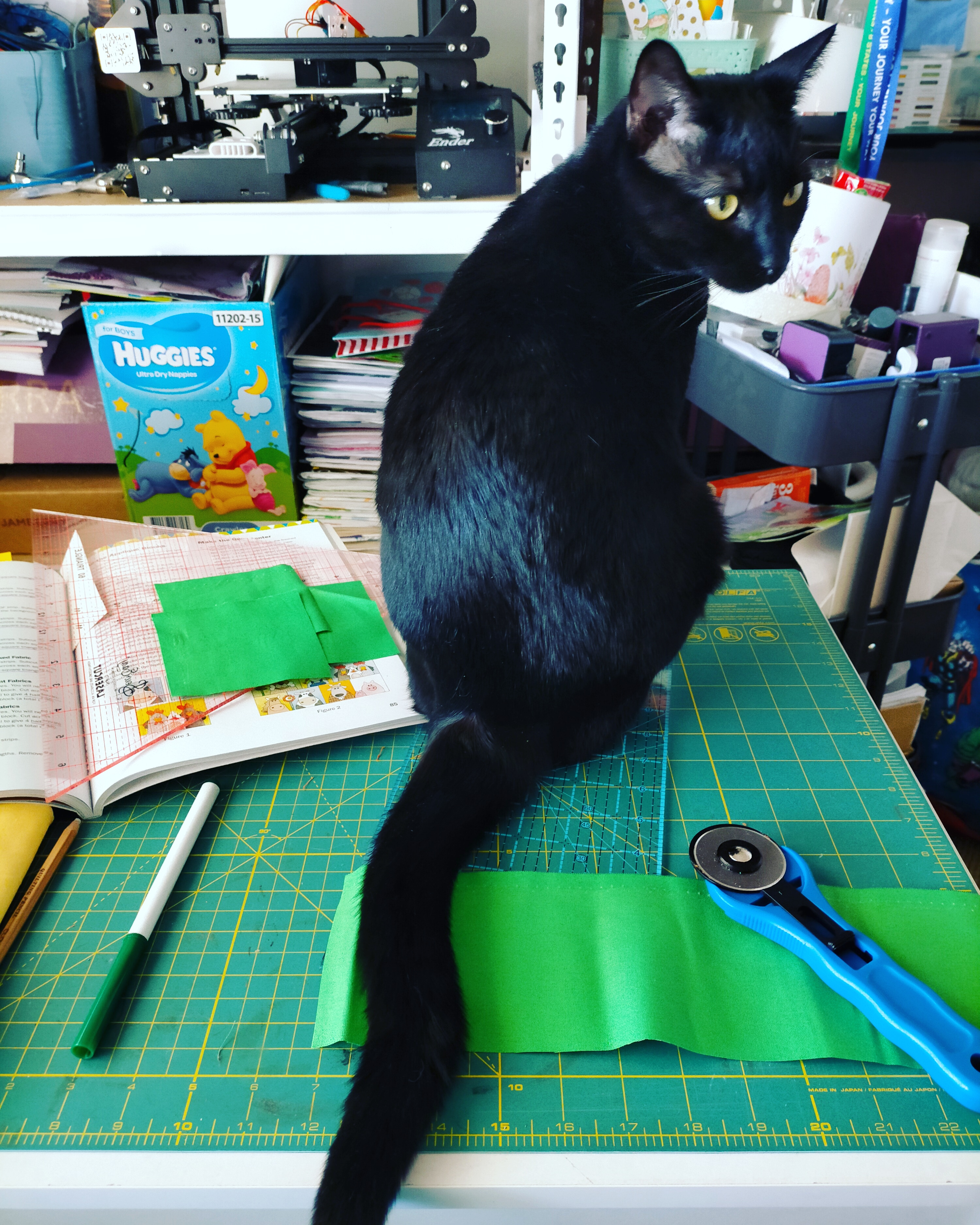 user avatar image for Tanya