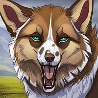 user avatar image for Icelandic_sheep