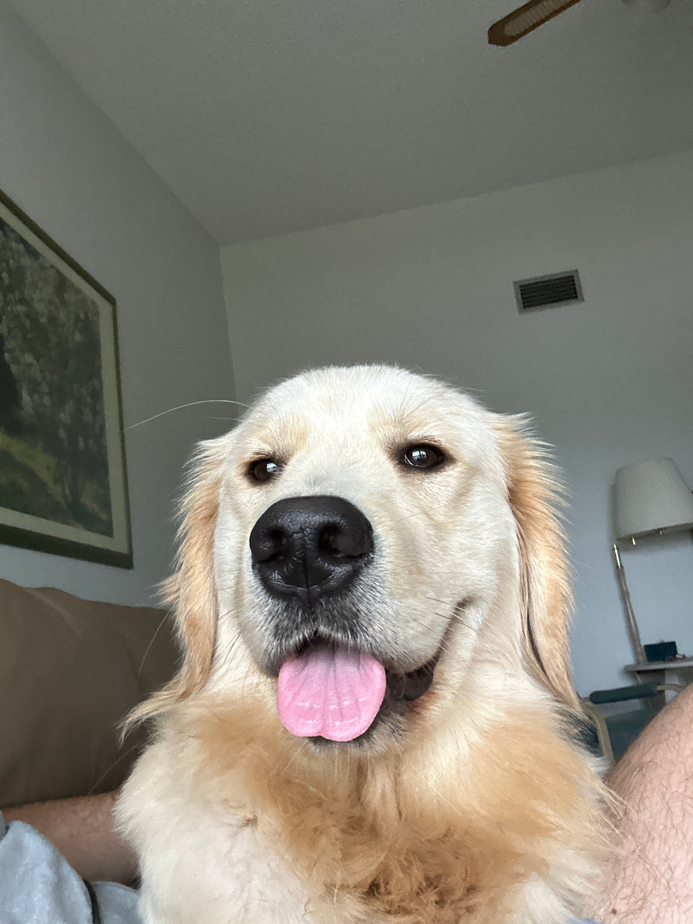 user avatar image for N