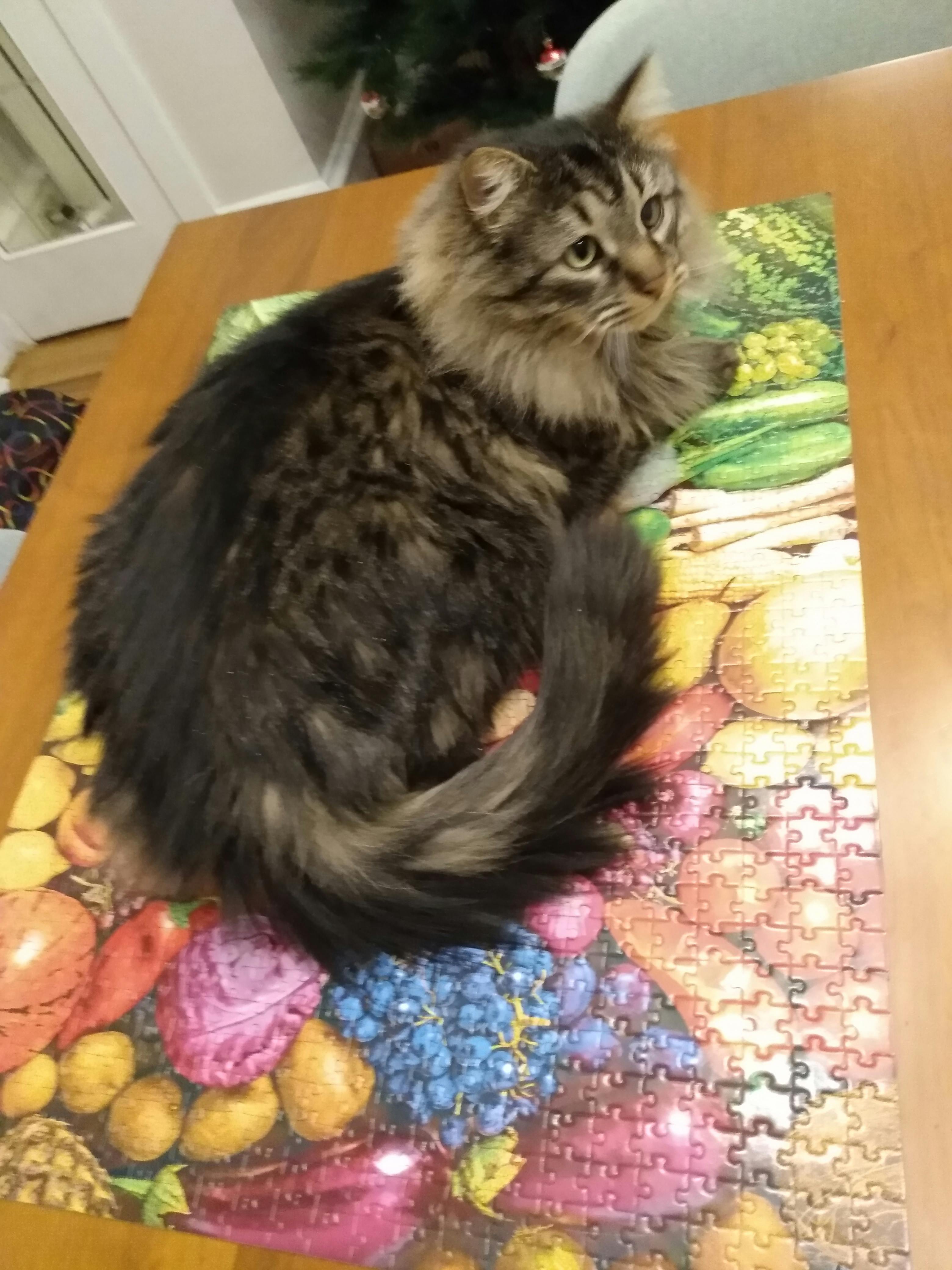 user avatar image for Kevyn