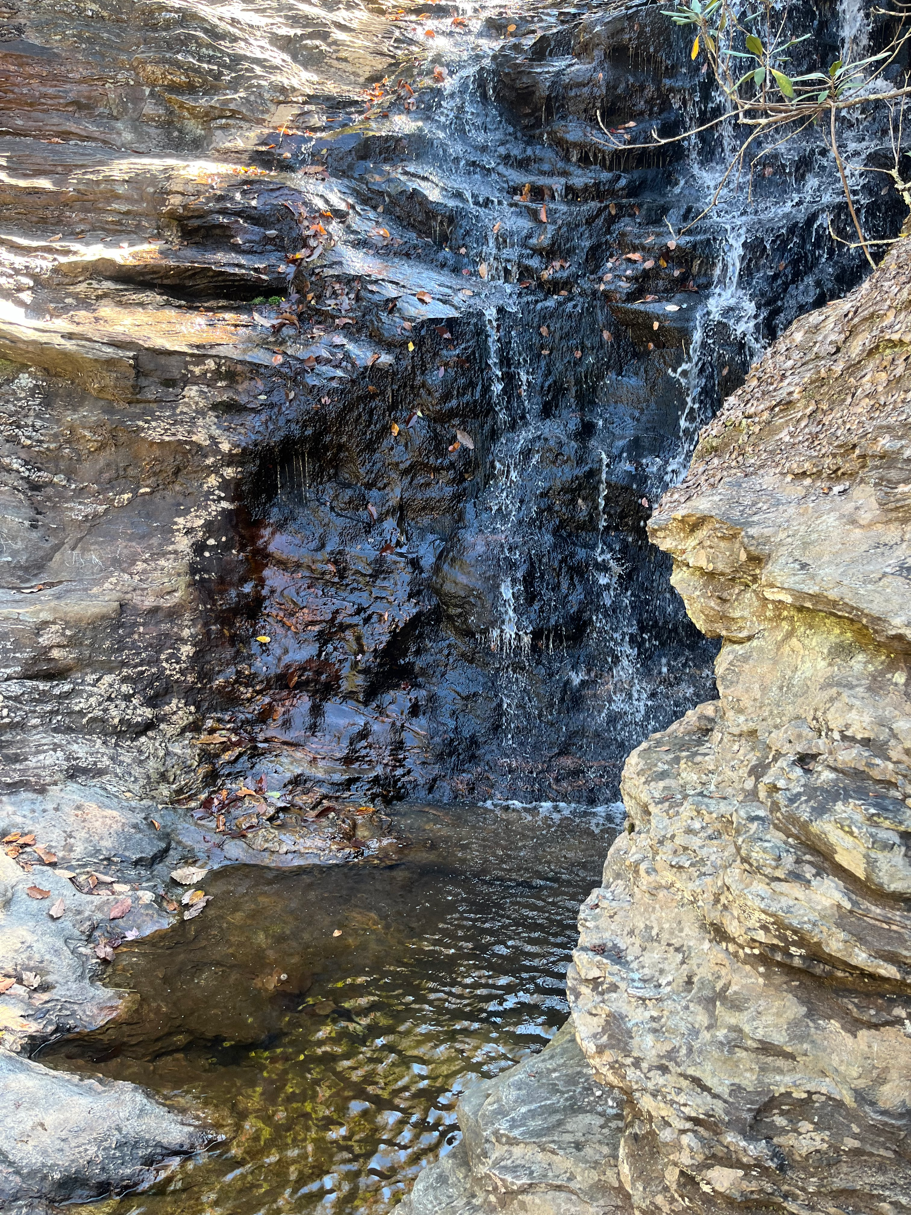 user avatar image for QWyvern