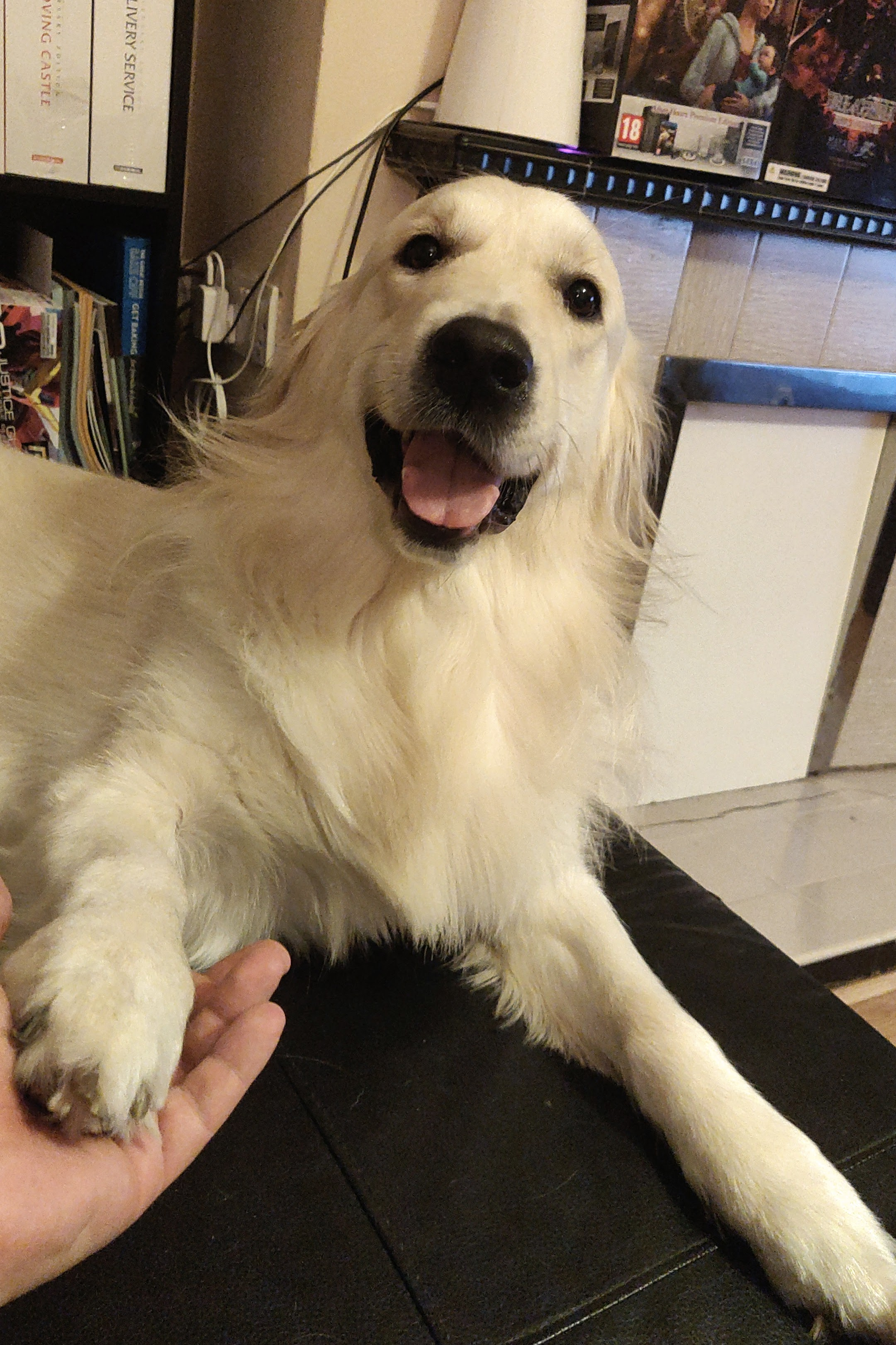 user avatar image for Jorge Izquierdo