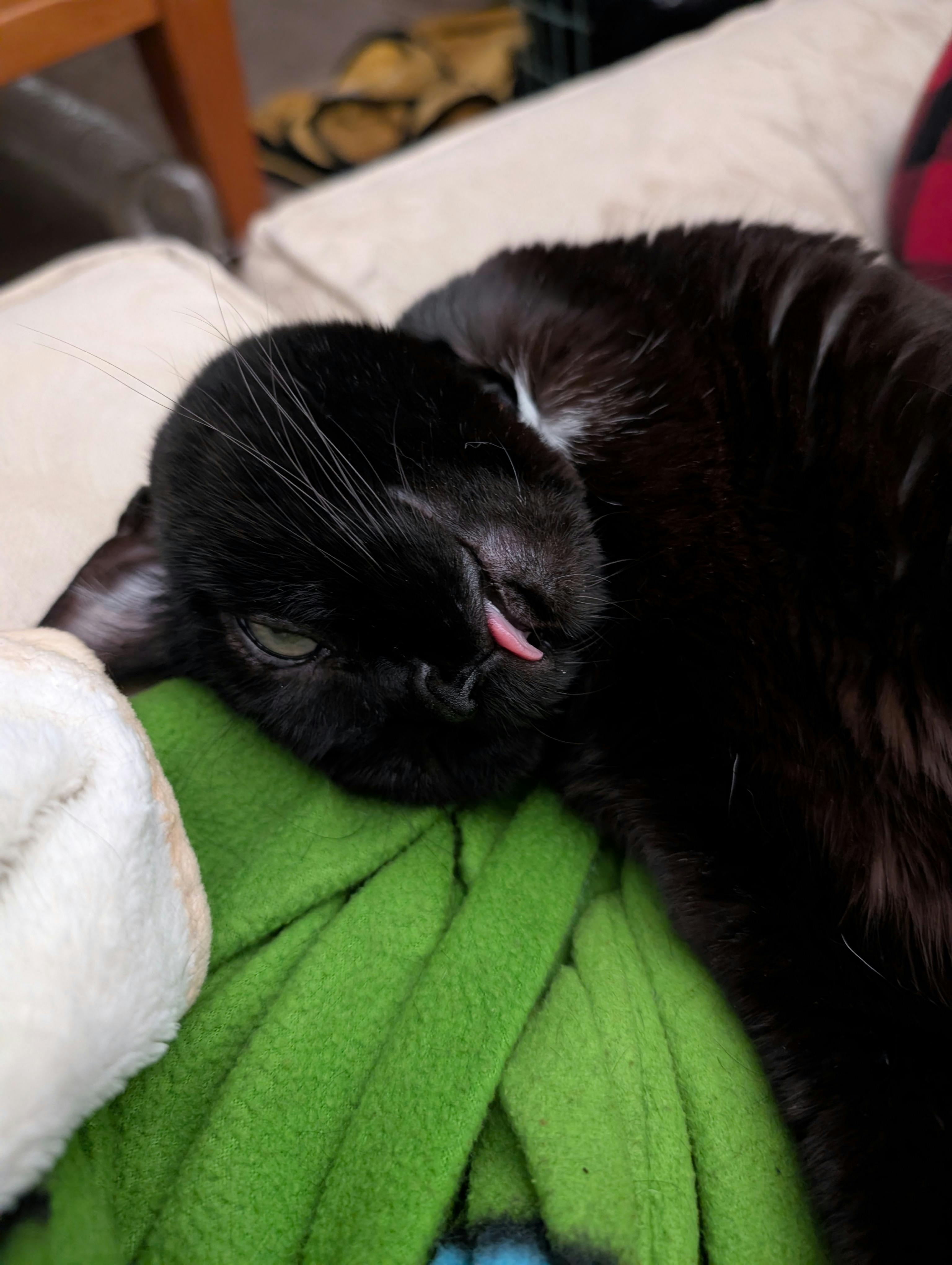 user avatar image for KhonshusFist