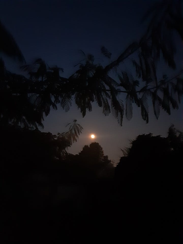 user avatar image for Finch