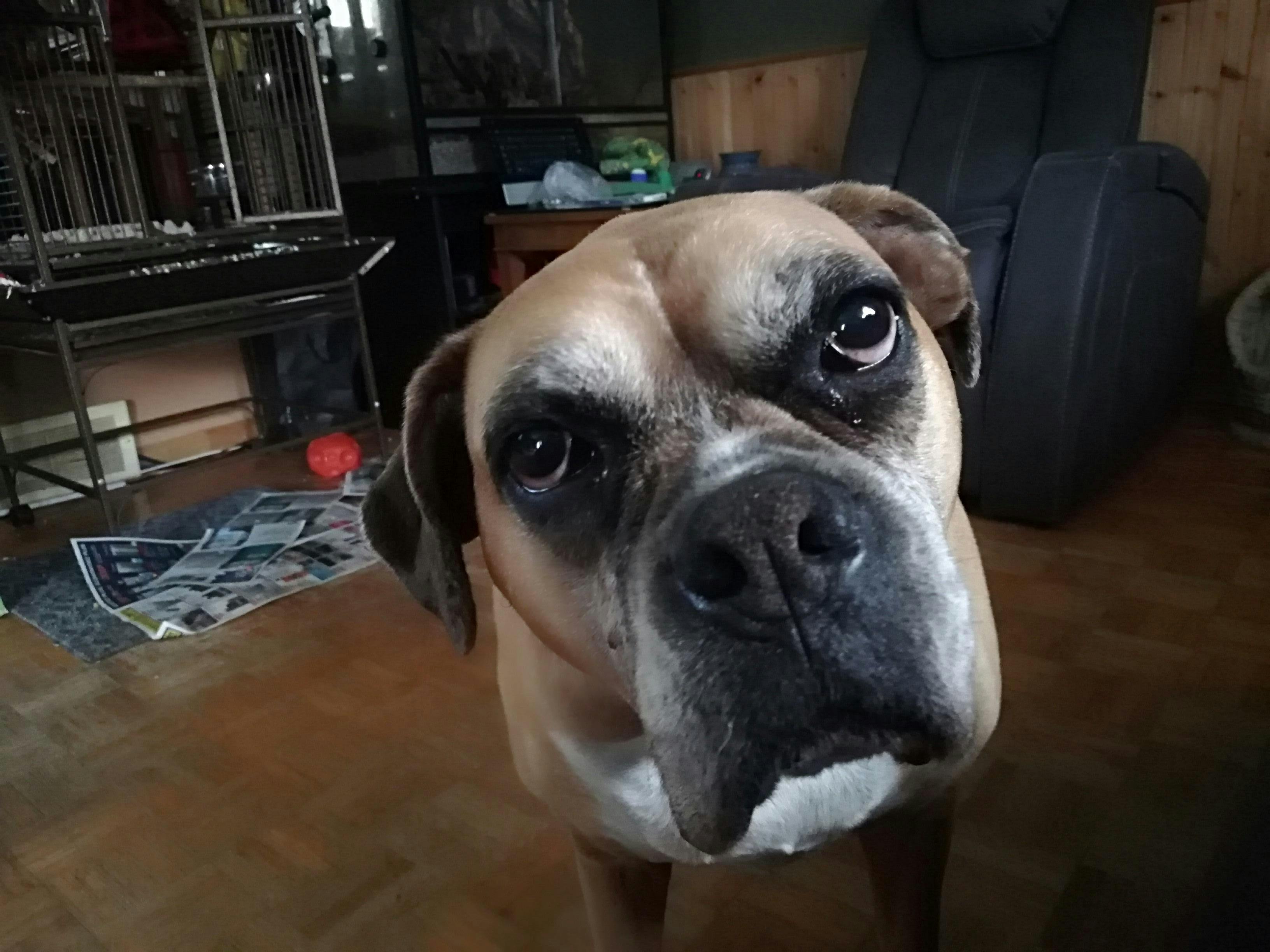 user avatar image for Teagan Boucher