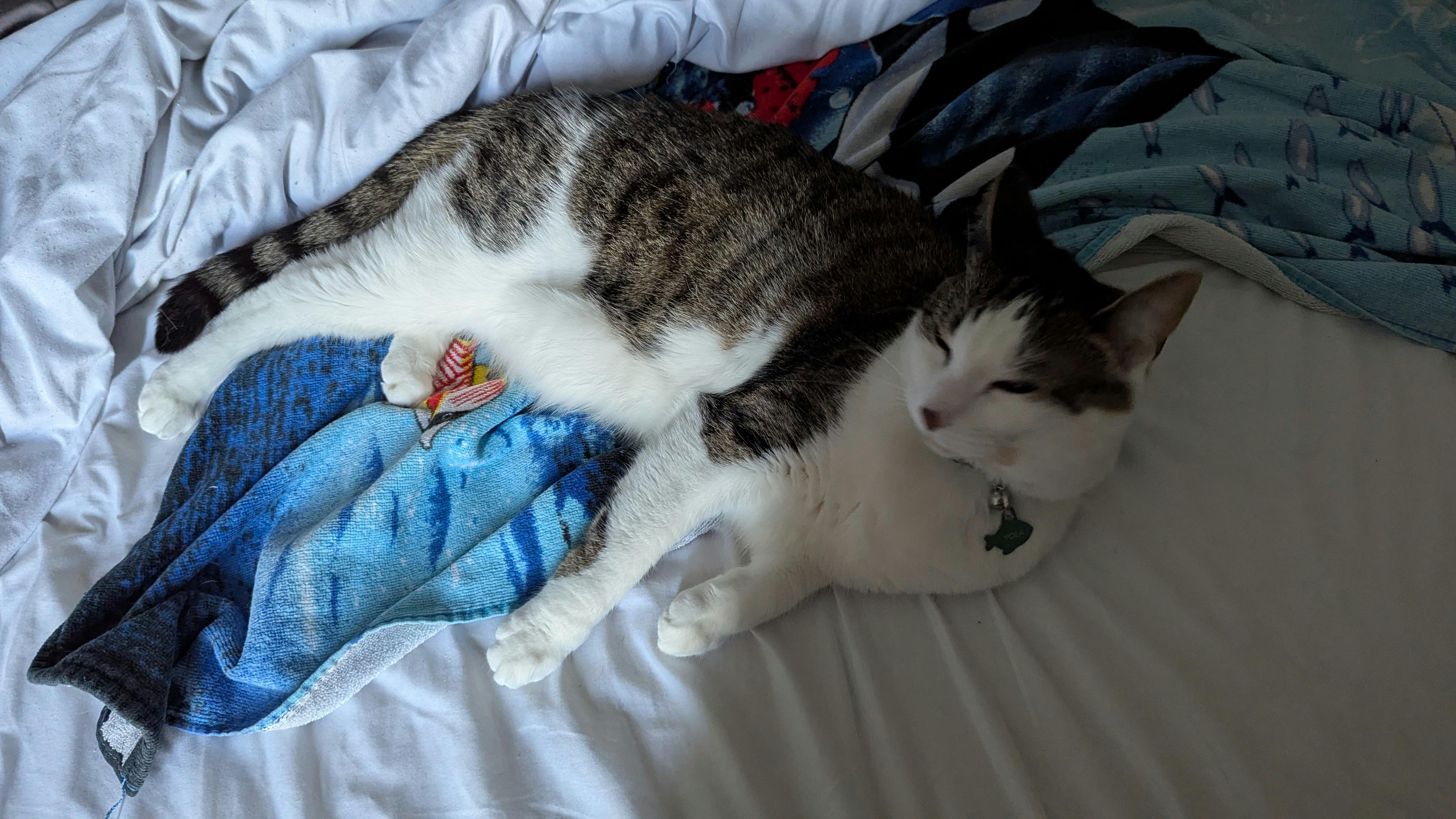 user avatar image for Avery Pierce